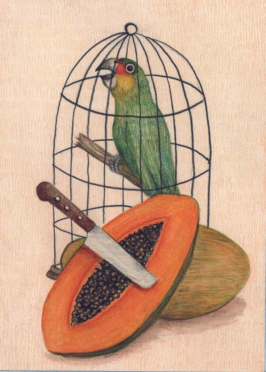 loro.jpg
