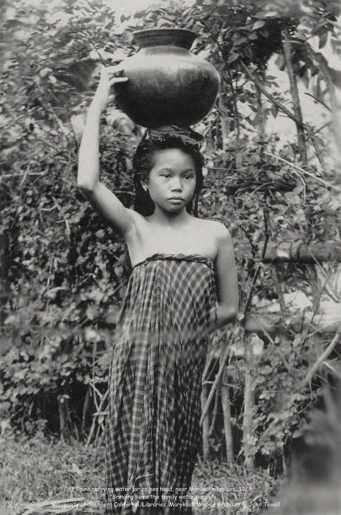 HISTOIRES DES COLLECTIONS 
