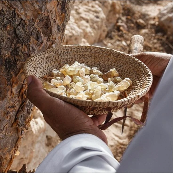 _ - 2026-01-22T143422.387.jpeg