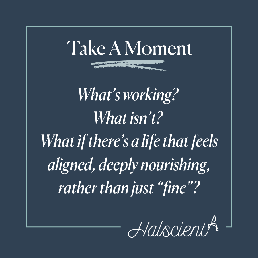 Reflection:  What's working, What isn't?