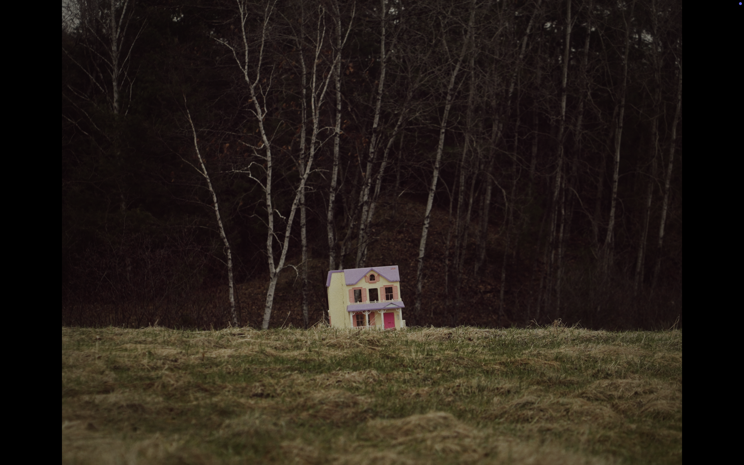 Children's toys lay in the yard, overlooked by a dark woods that line the property.