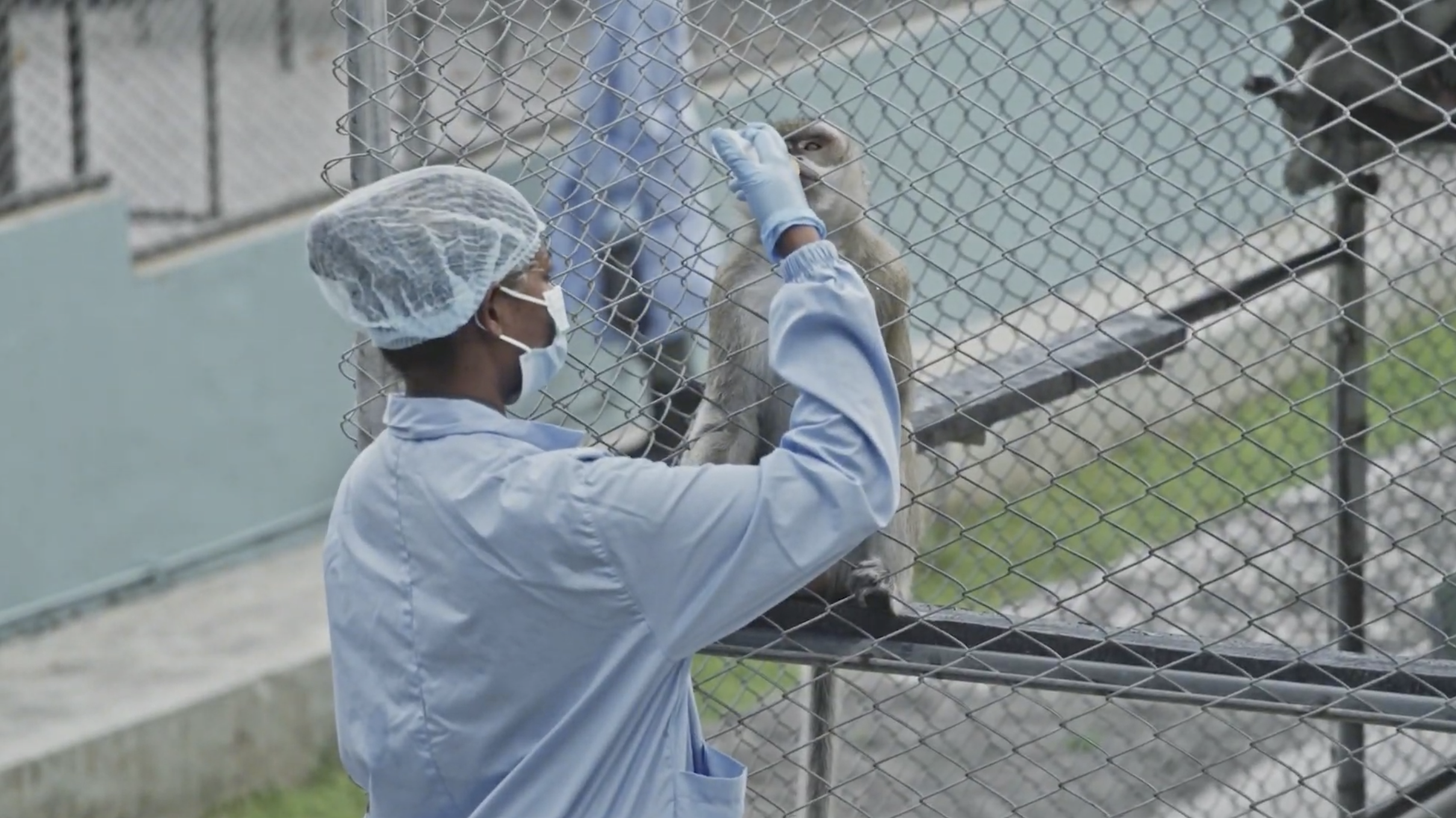 Screenshot 2026-02-24 at 11.42.34 AM.png