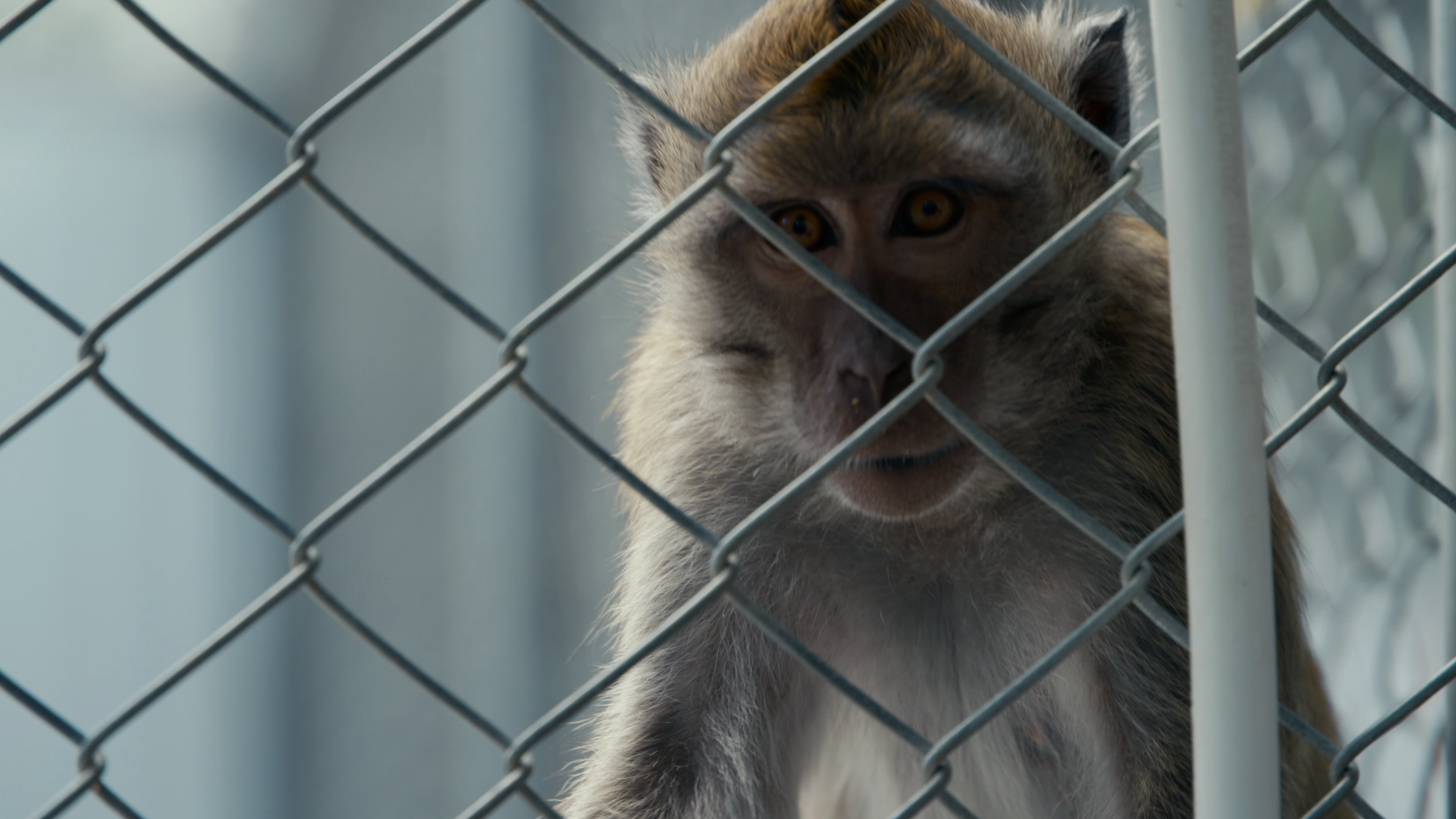 Screenshot 2026-02-24 at 11.39.53 AM.png