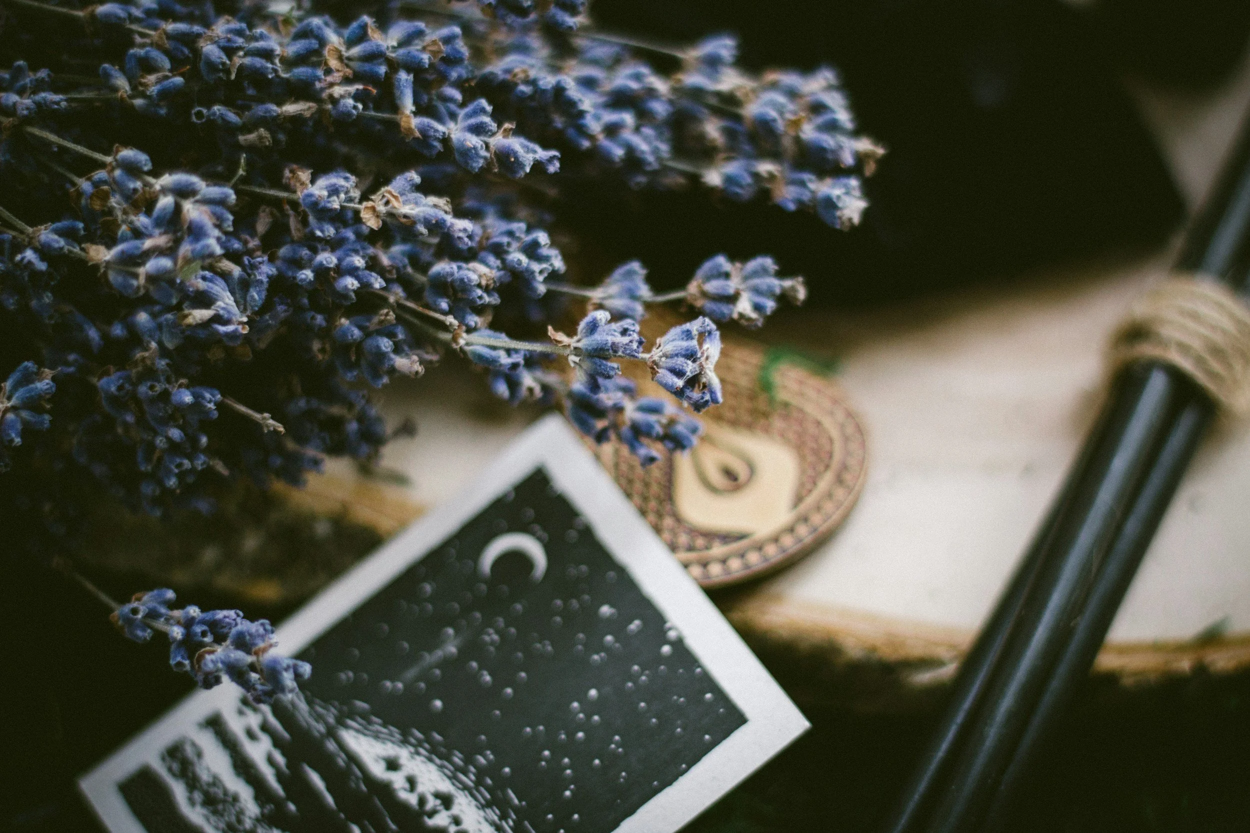 Bundle of dried lavender flowers with purple blooms and green stems, placed on a surface with a black and white printed card and a coin nearby.