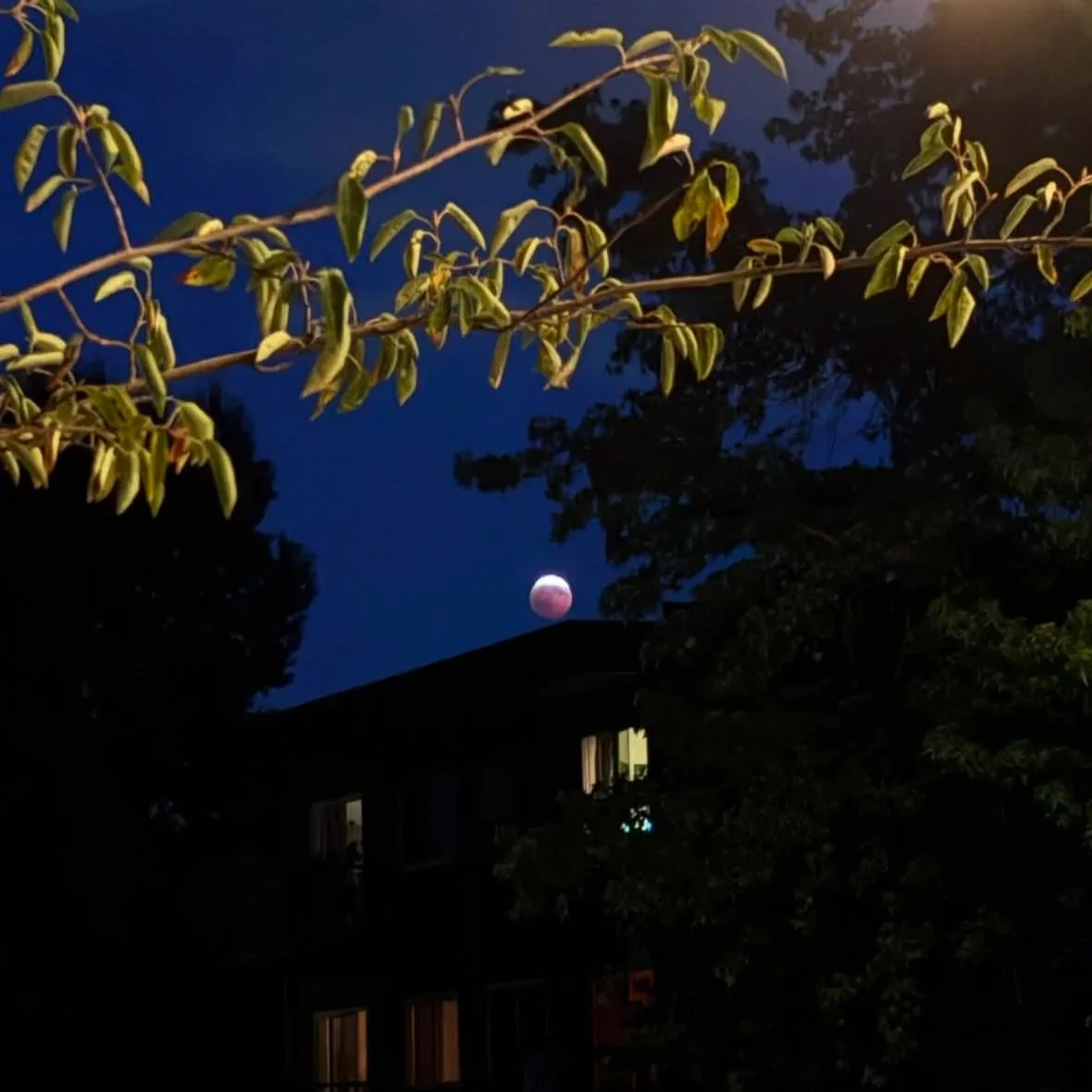 Lunar Eclipse Spell