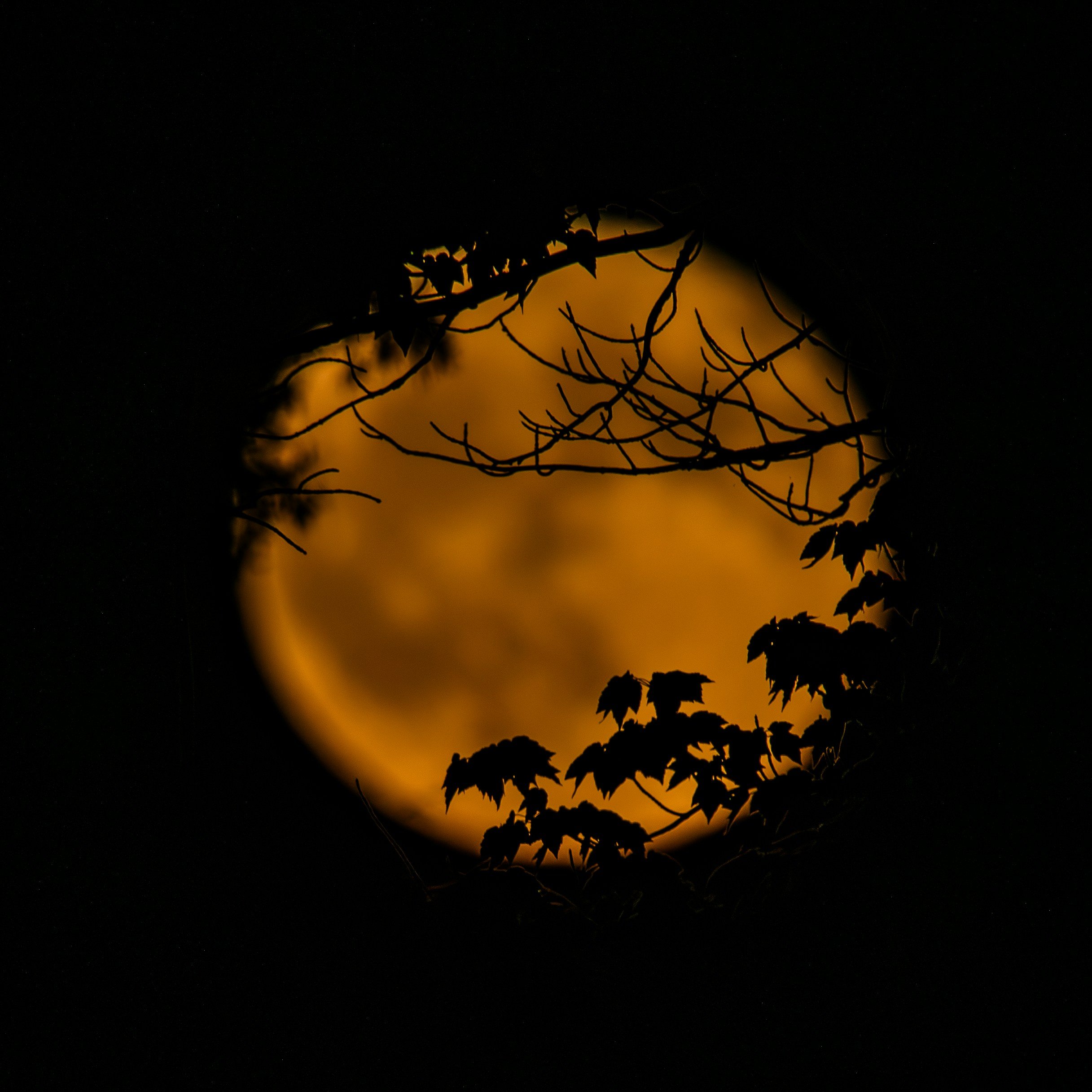 1st Full Moon of the Fall Season 