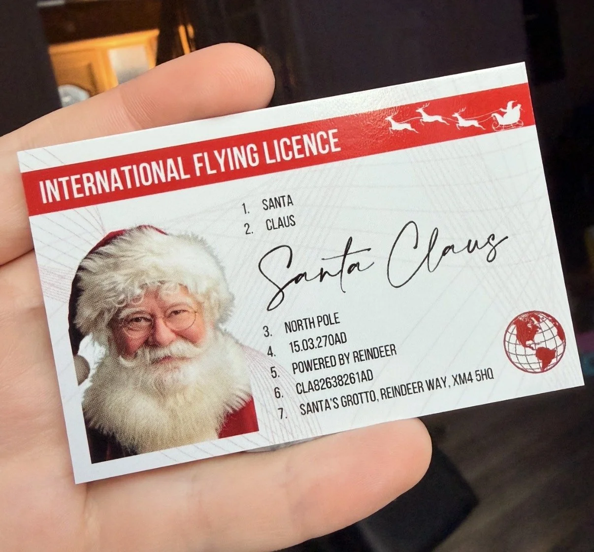 Santa Flying License