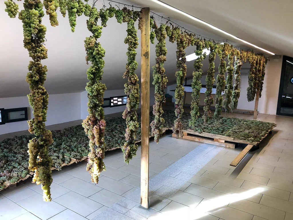 Crafted with patience and tradition, Vin Santo begins with months of grape drying, followed by years of barrel aging, to become Tuscany&rsquo;s iconic &ldquo;holy wine.&rdquo; Perfect with biscotti, but best enjoyed sharing with family during the hol