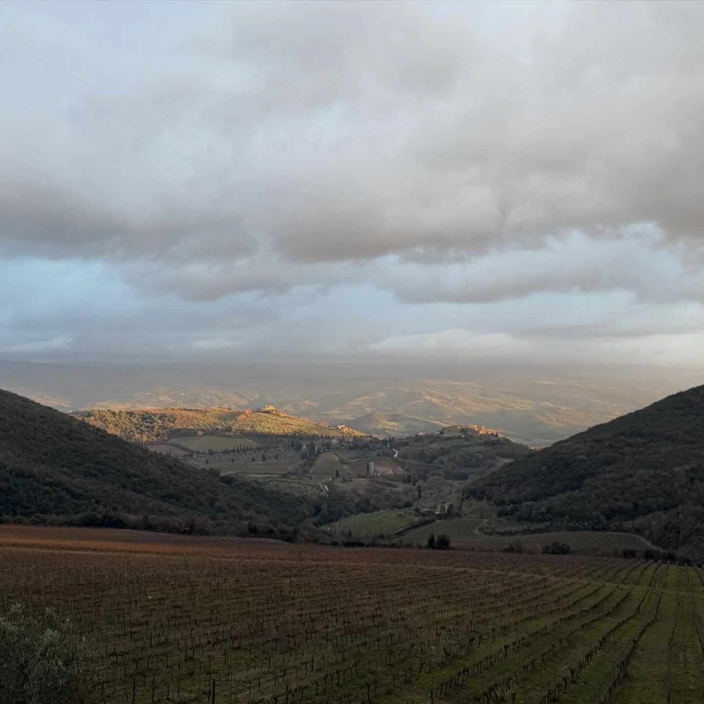 On this Earth Day we celebrate how lucky we are to work with such incredible sites to make the wine you know and love 🌎