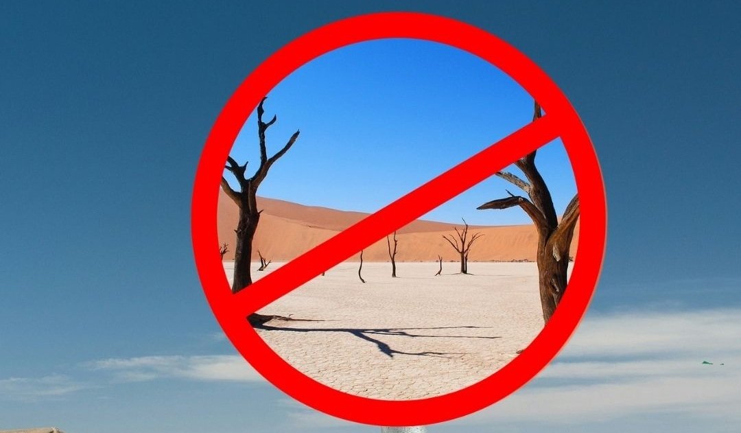 Selbstfahren in Namibia ab 01.05.2026 verboten? Nicht ganz.