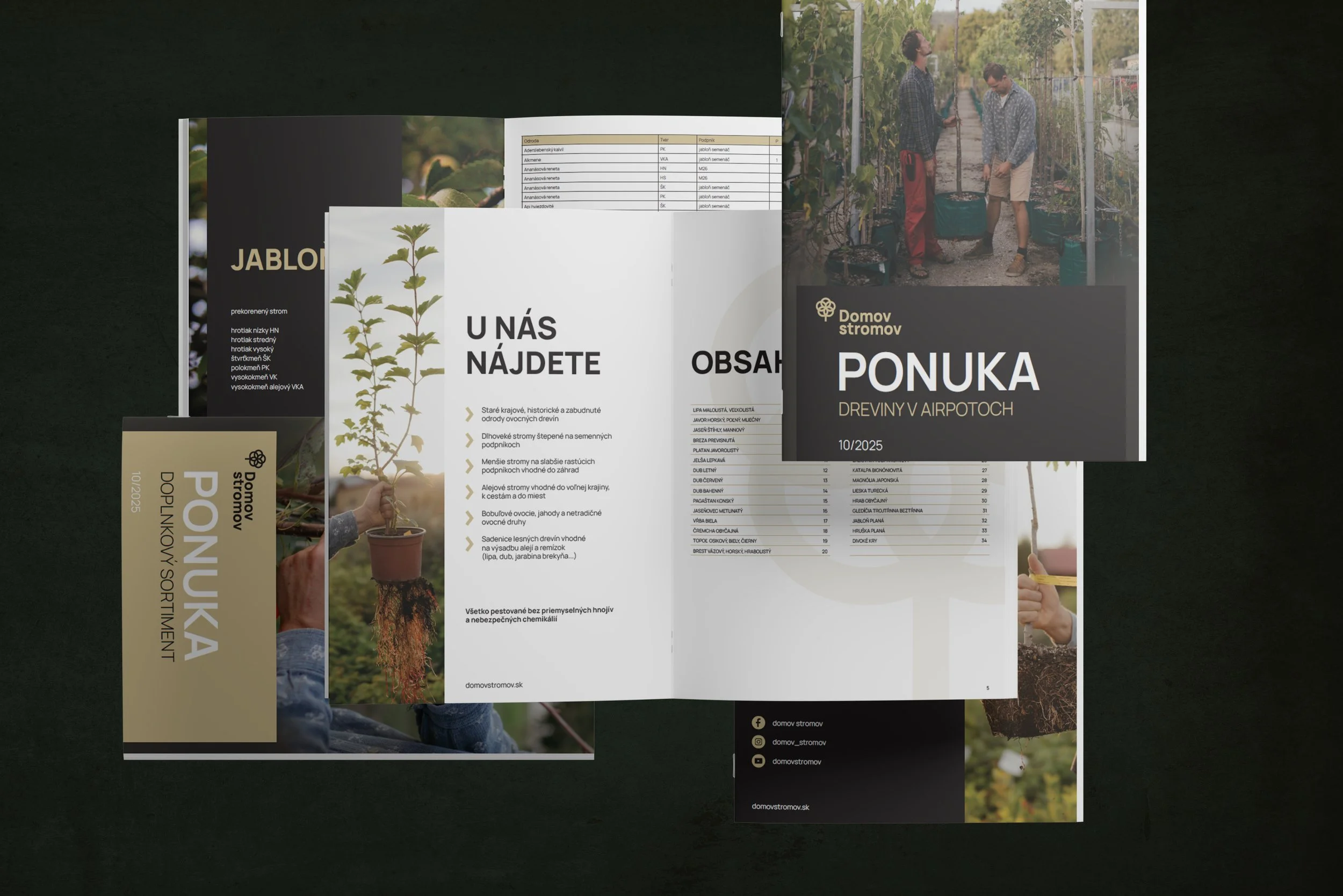 Multiple pages of a brochure about tree planting and forestry, including images of people planting trees in a nursery and a list of tree species.