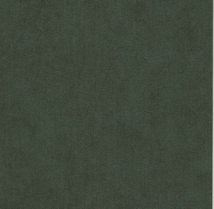 LCR3930-castillagreen