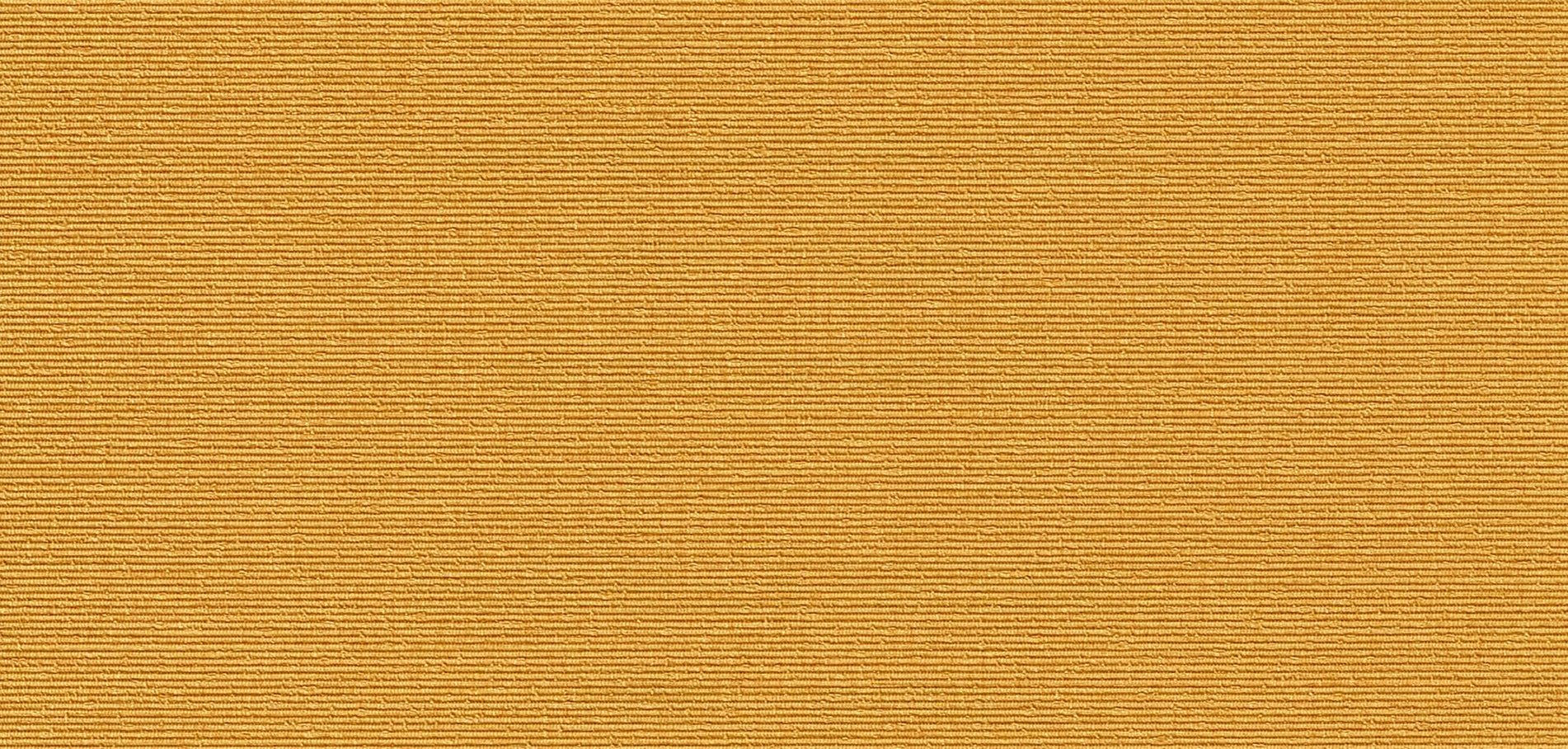 Mustard Seed