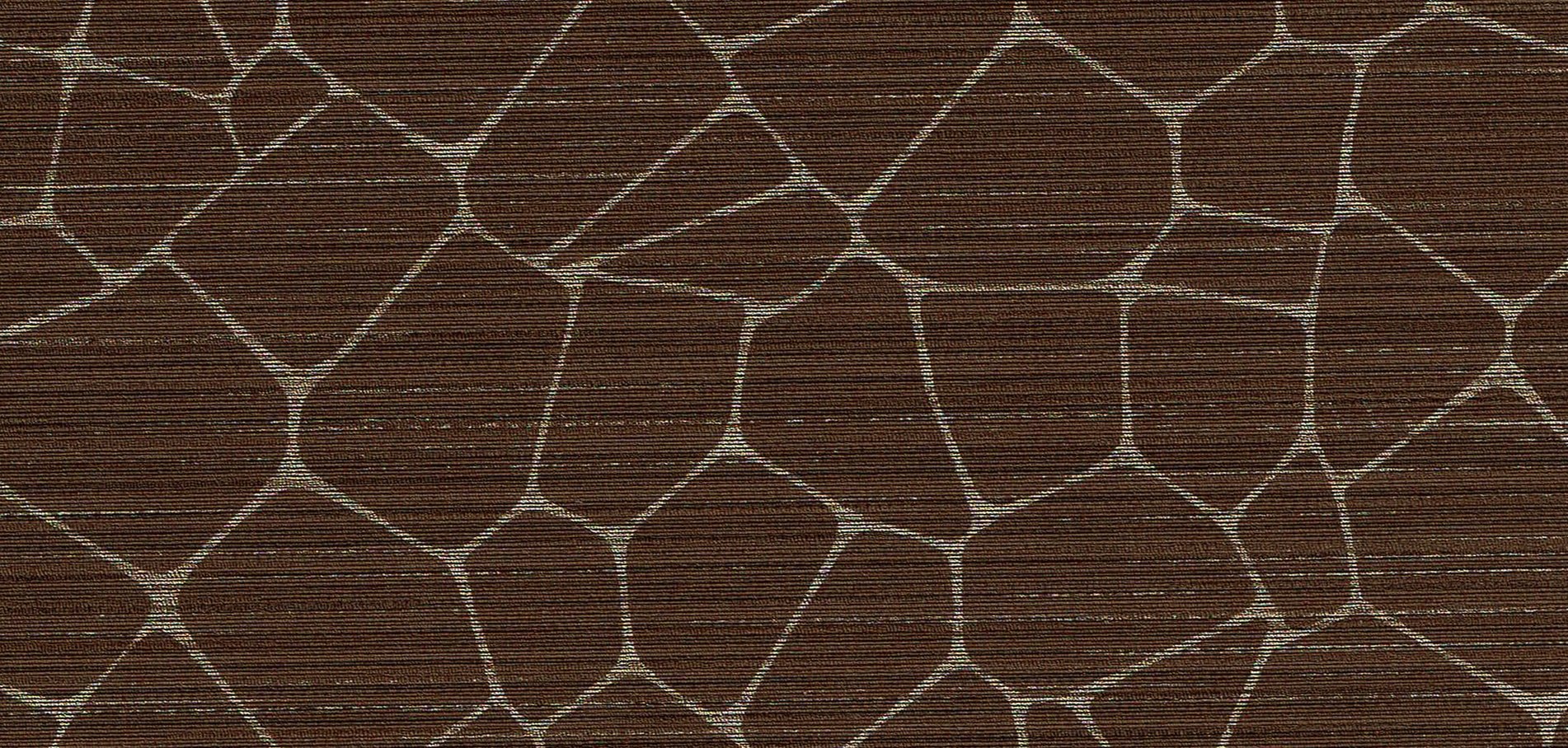 Cocoa