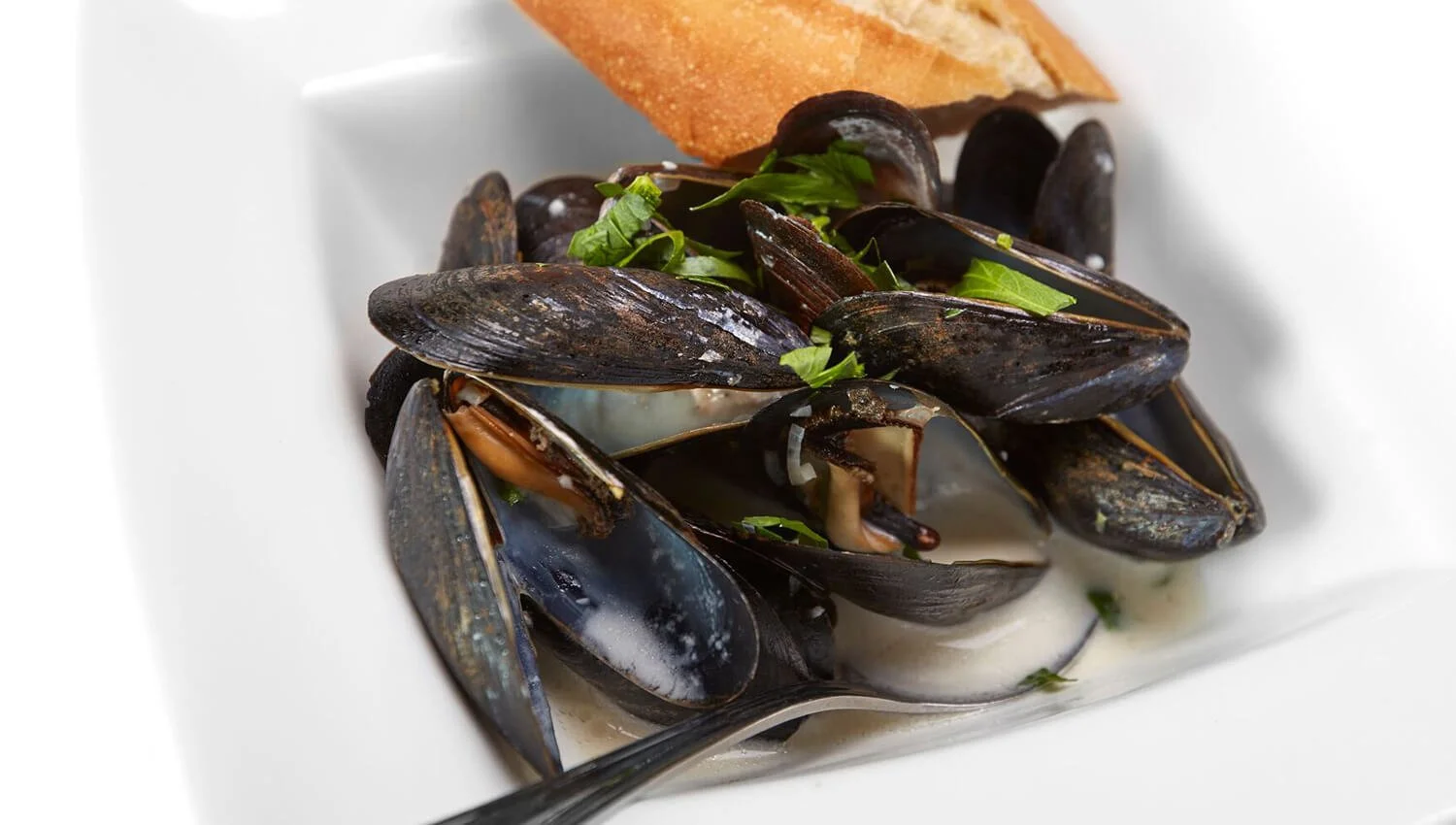 Mussels