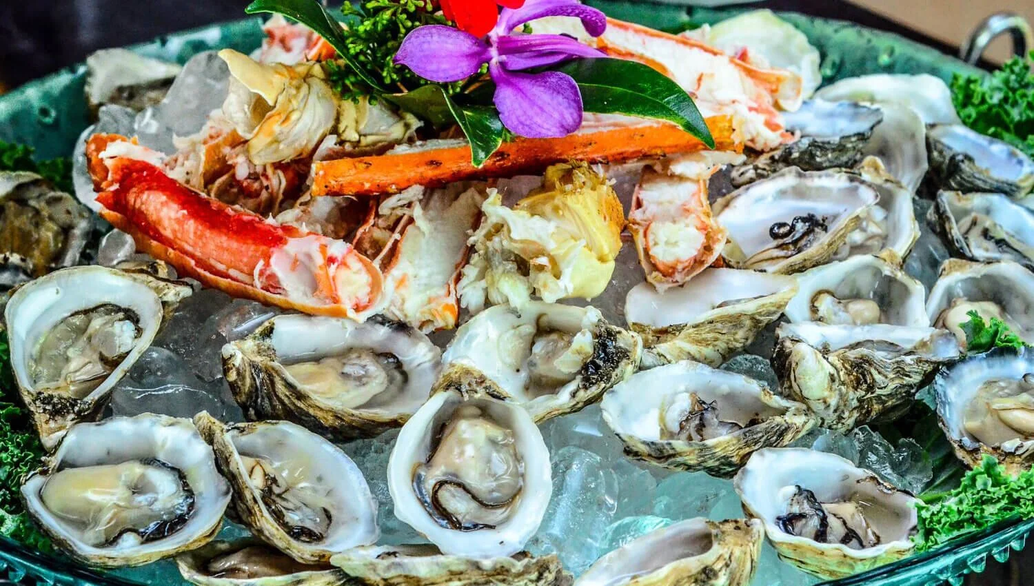 Oysters