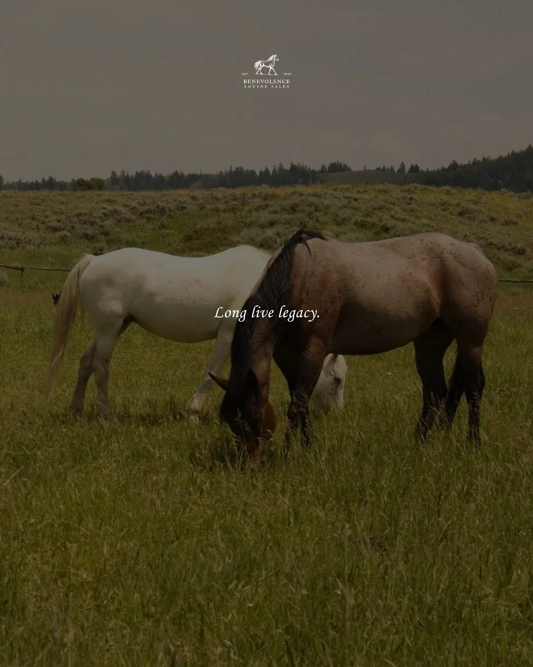 And never look back.
&bull;
#benevolence