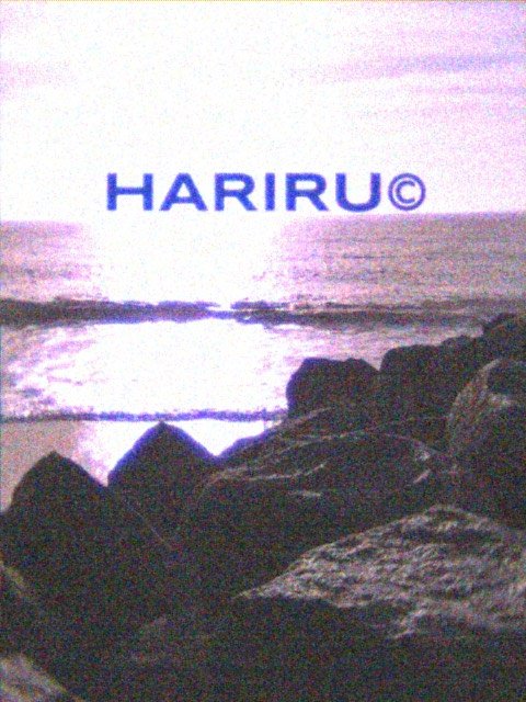 “HARIRU BLUE”