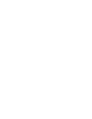 Medal icon