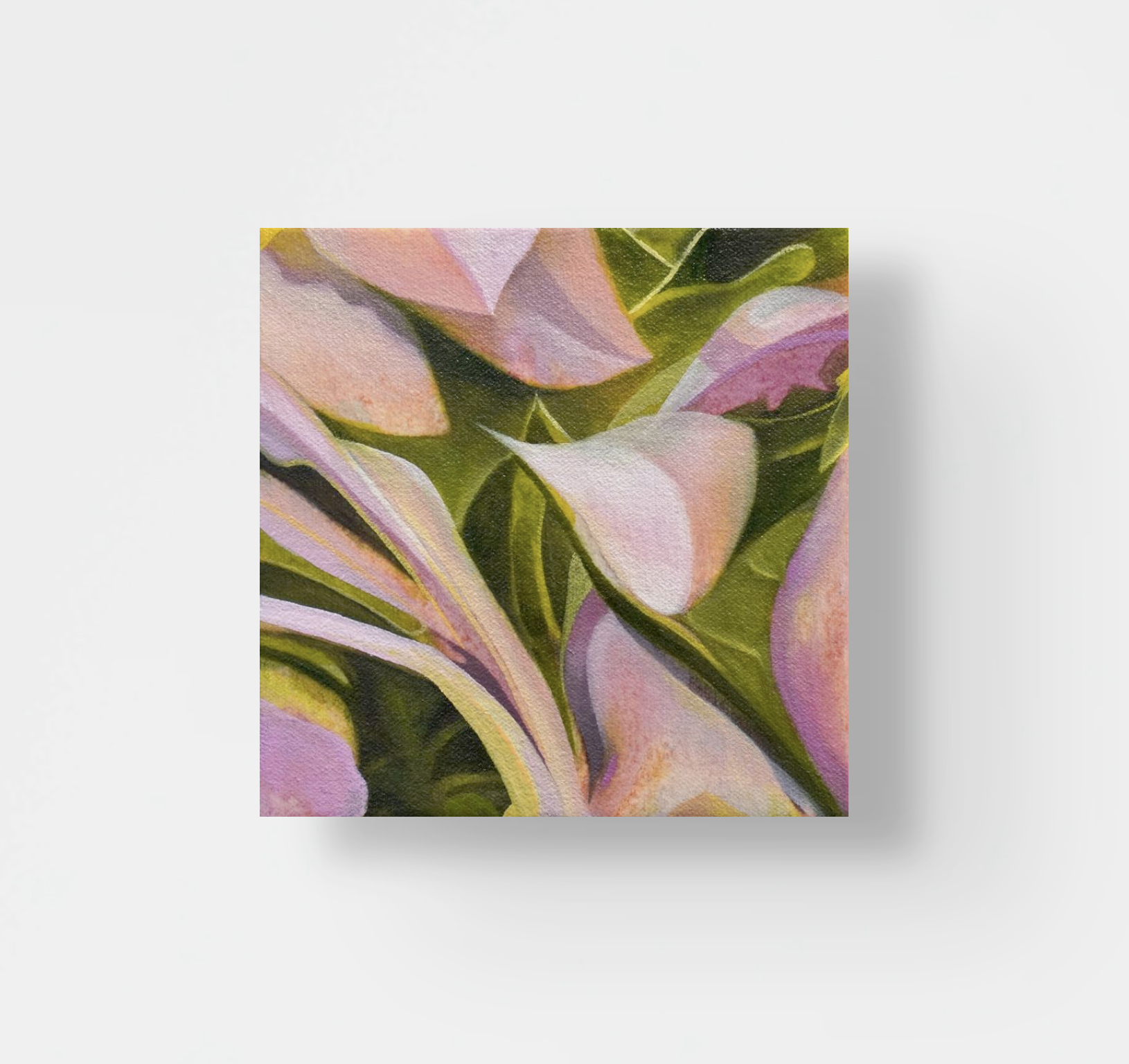 Mya Naidoo | Spring 4