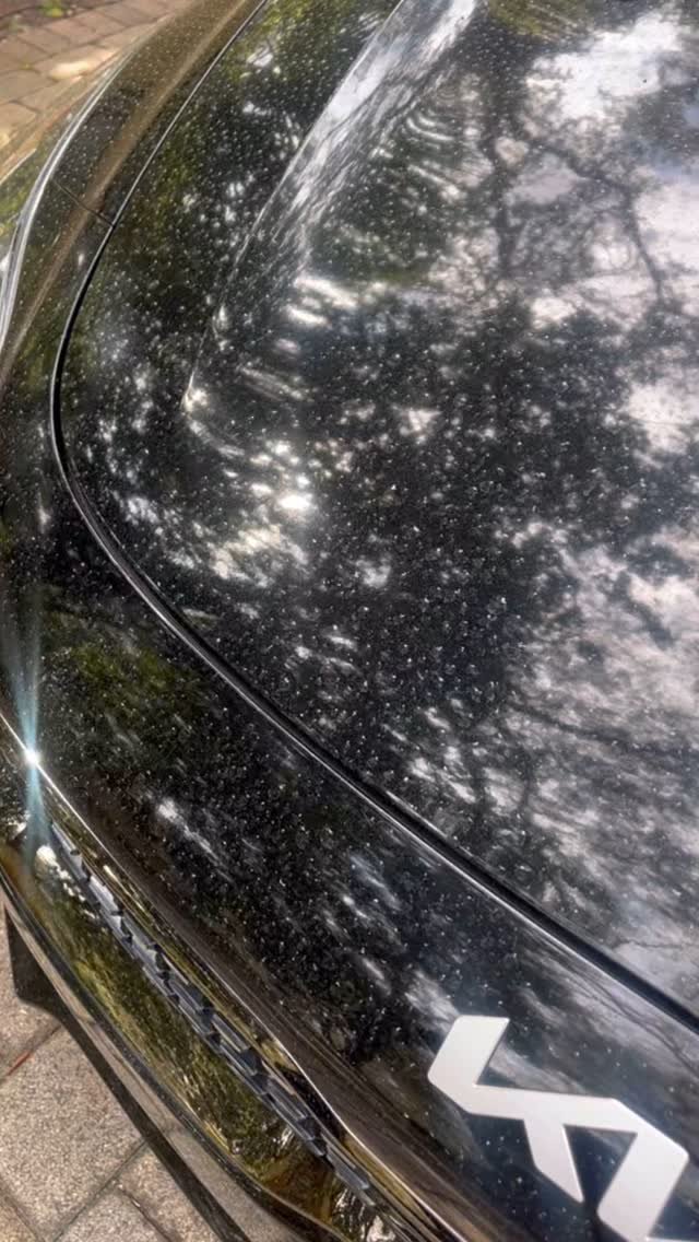 Tried of auto car wash and never getting a truly clean car? Let us take care of your vehicle cleaning needs! Completely self-serving mobile car wash and detailing in Seminole County. #mobilecarwash #mobilecardetailing #carwash #meguiars #chemicalguy