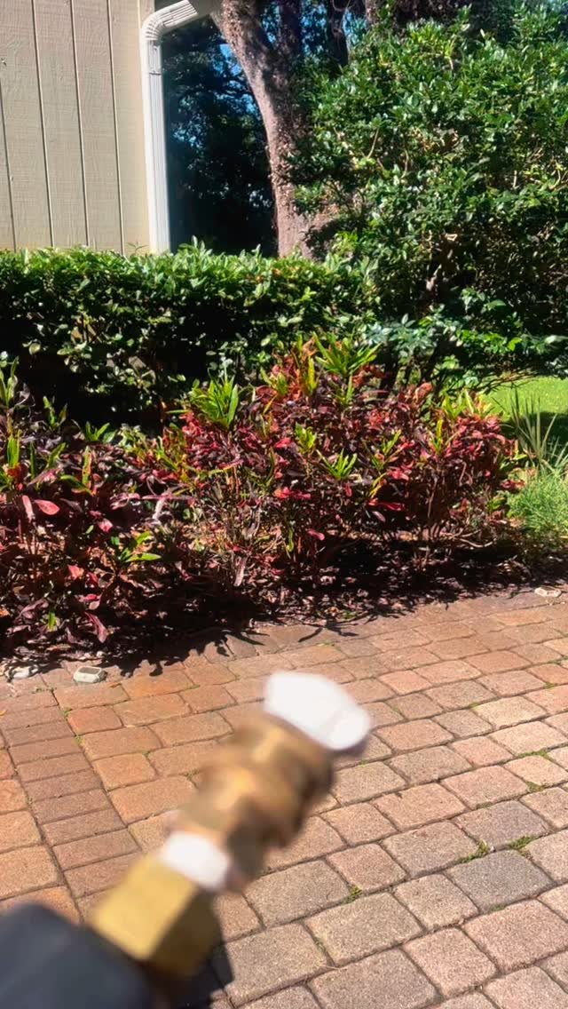 Spring into freshness! 🌸 Deep cleaned floor mats and giving off a brand new scent 🚗 #cardetailing #mobiledetailing #carwash #cleancar #mobilecarwash #mobilecardetailing #detailersofinstagram #satisfyingvideos #floridadetailers