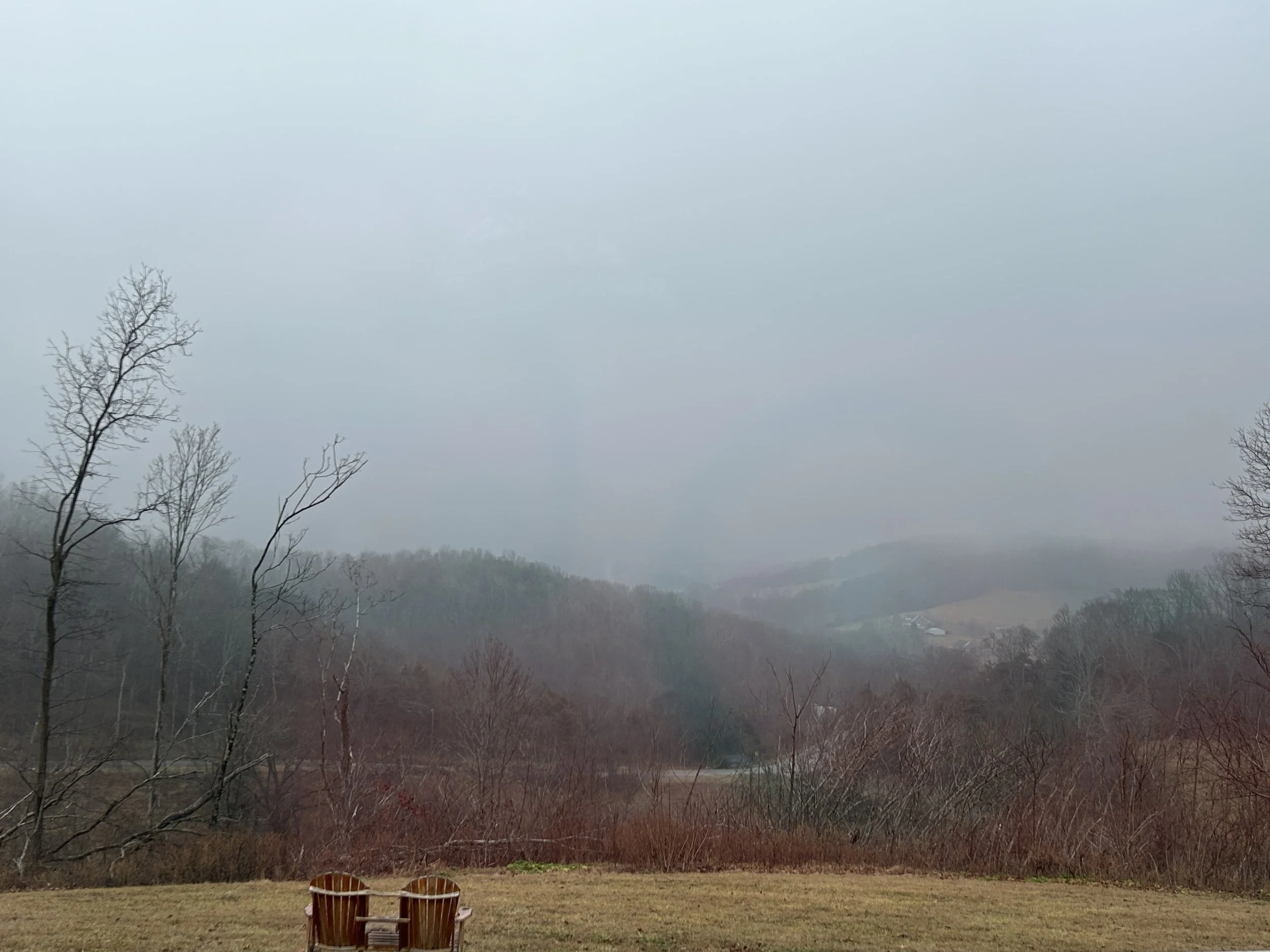 Two wooden chairs on a grassy area facing a foggy landscape with leafless trees and rolling hills in the distance.