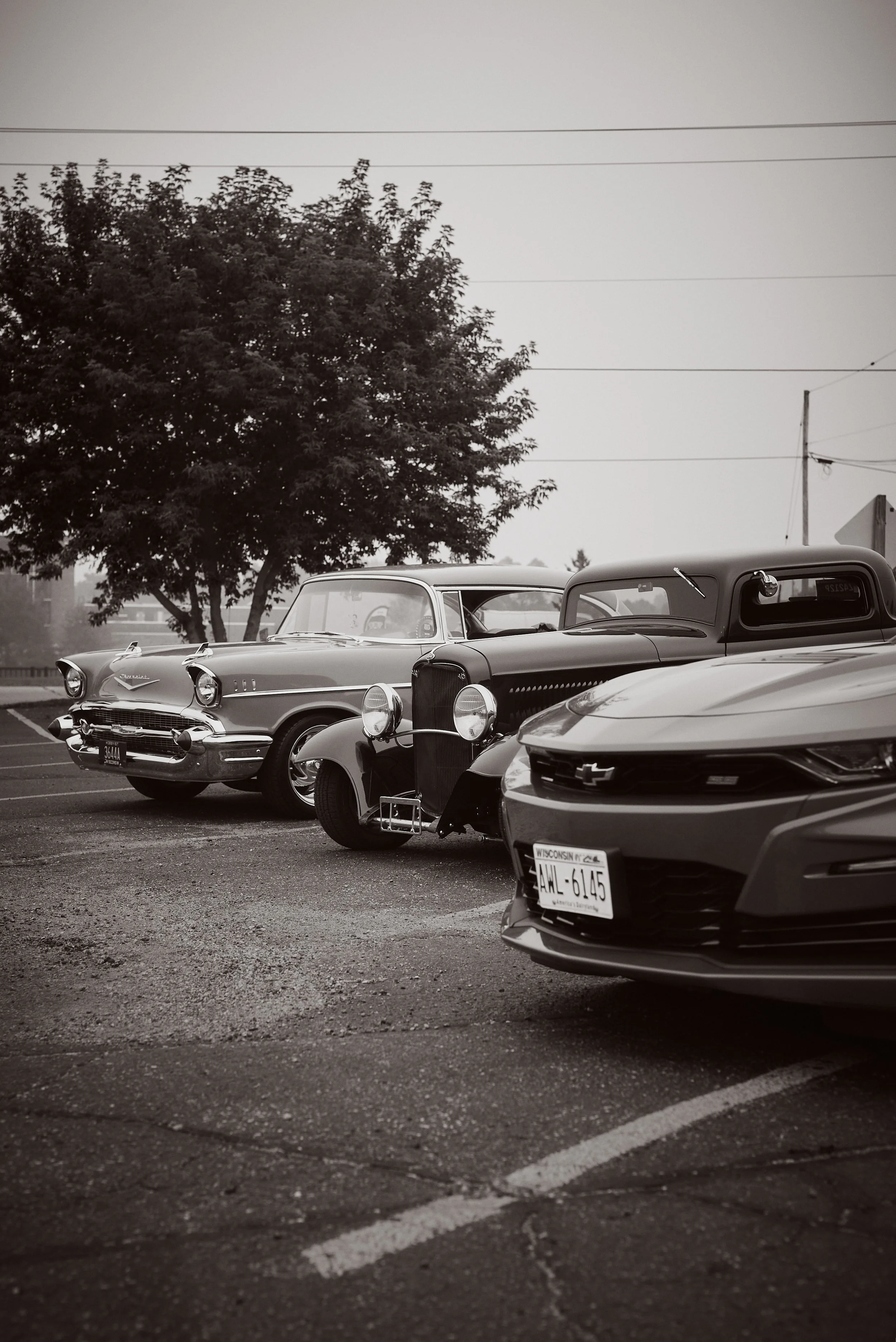 DSC08357.jpg