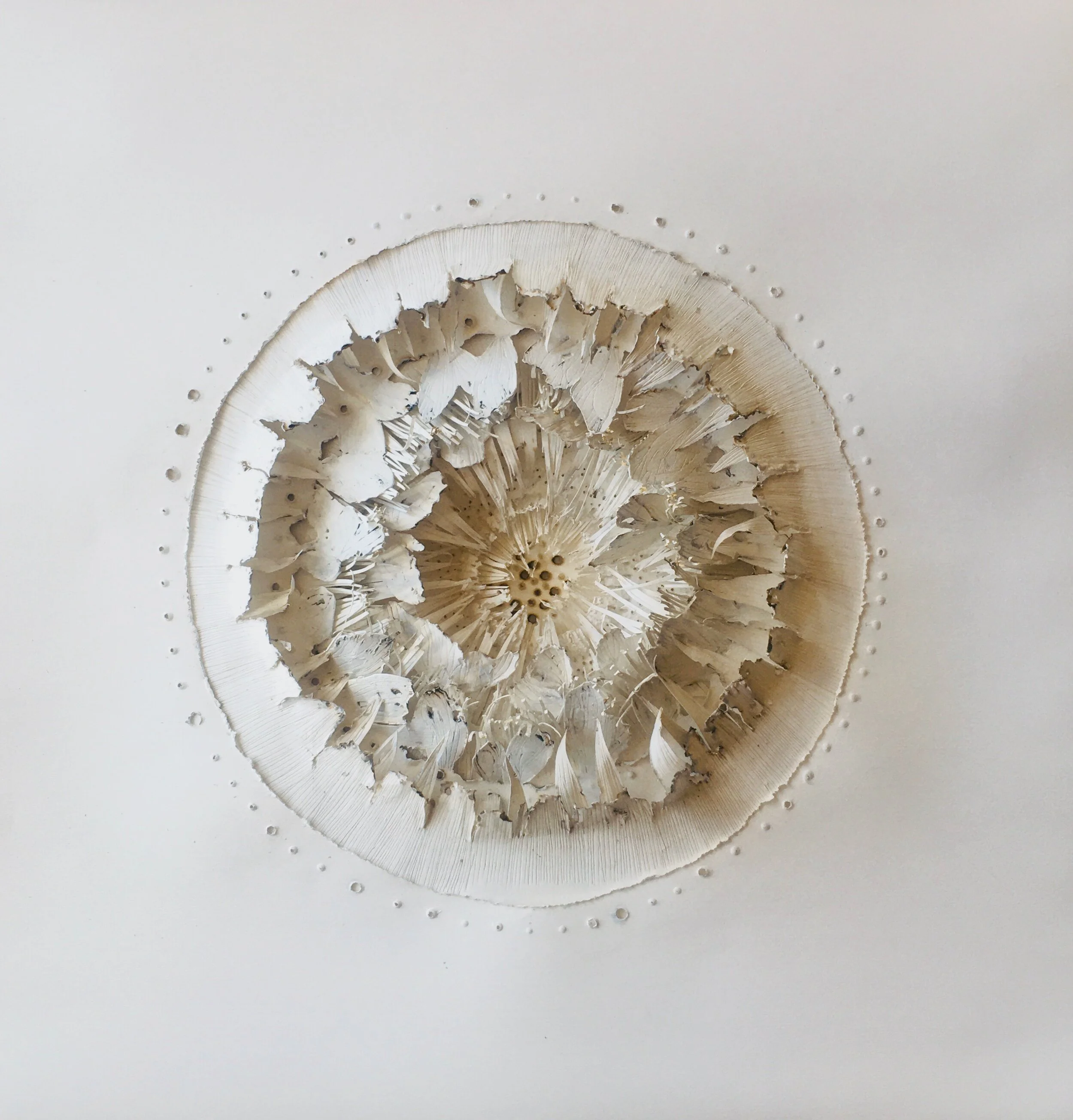 Matthew Eames, Kristen Friebele, Ami Purser, Linda Lowry and William Weidman