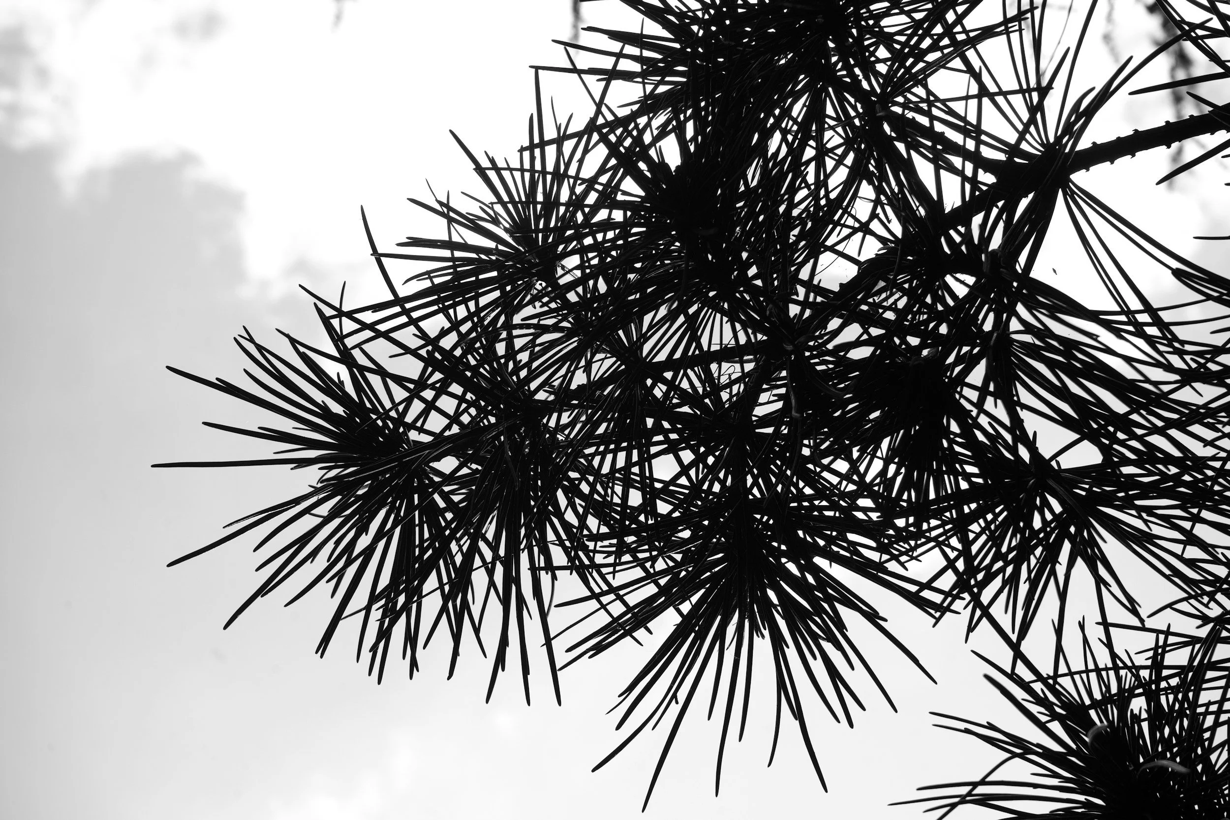Creative Happy Hour: Sumi Ink 