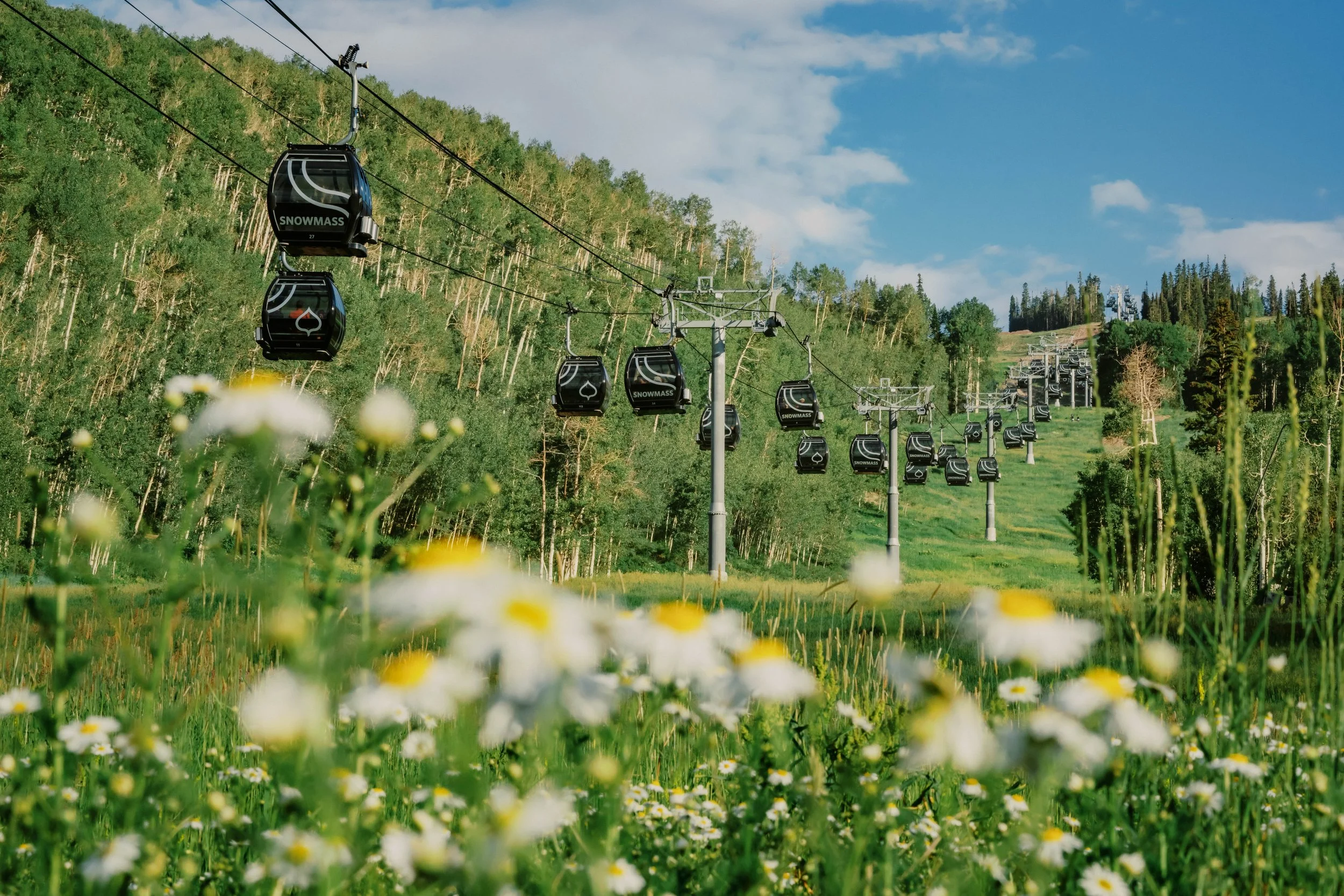 gondola with flowers in the foreground