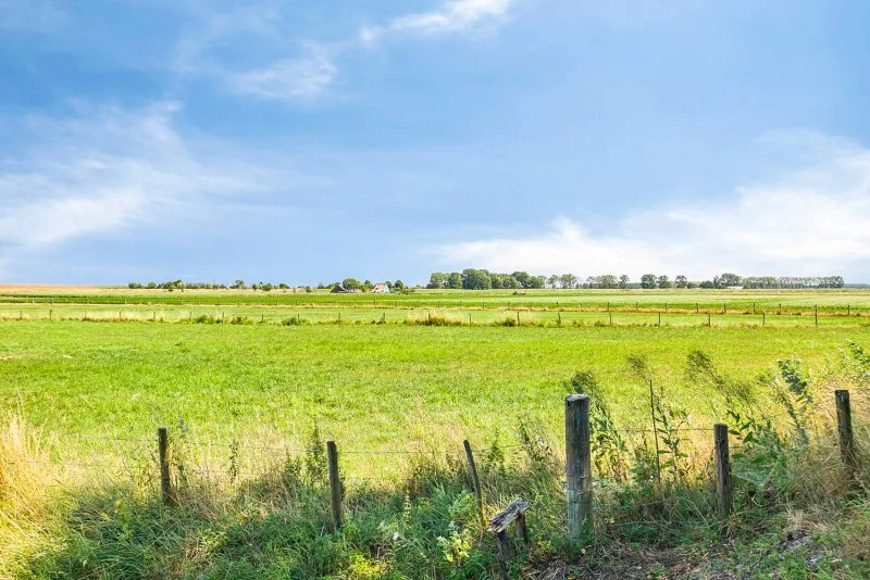 Uitgestrekt groen weideland met een houten hek, onder een blauwe hemel met wat wolken bij de Westerschelde bij Paal.