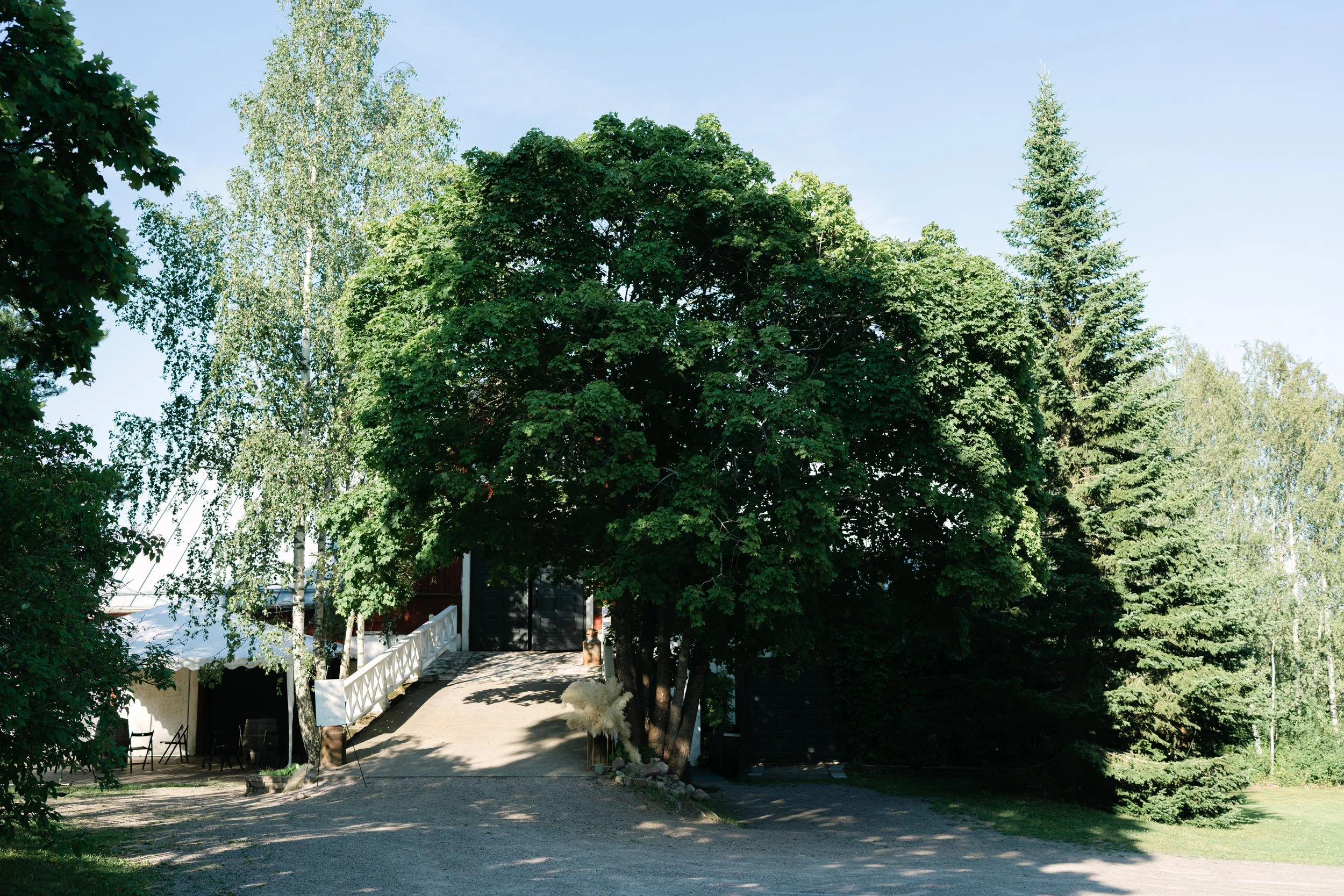 1AG04832.jpg