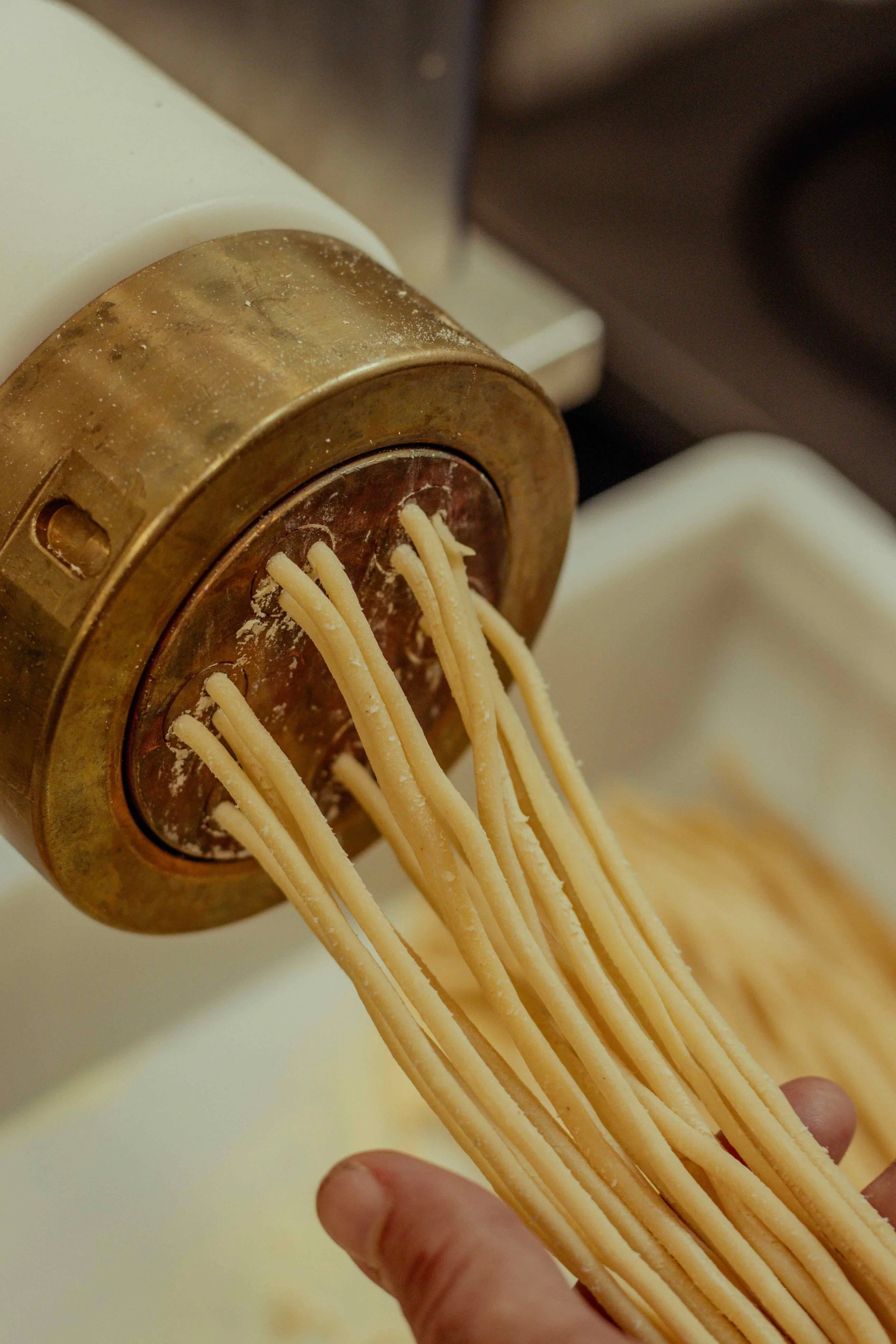 Fresh pasta noodles extruding from a pasta maker machine.