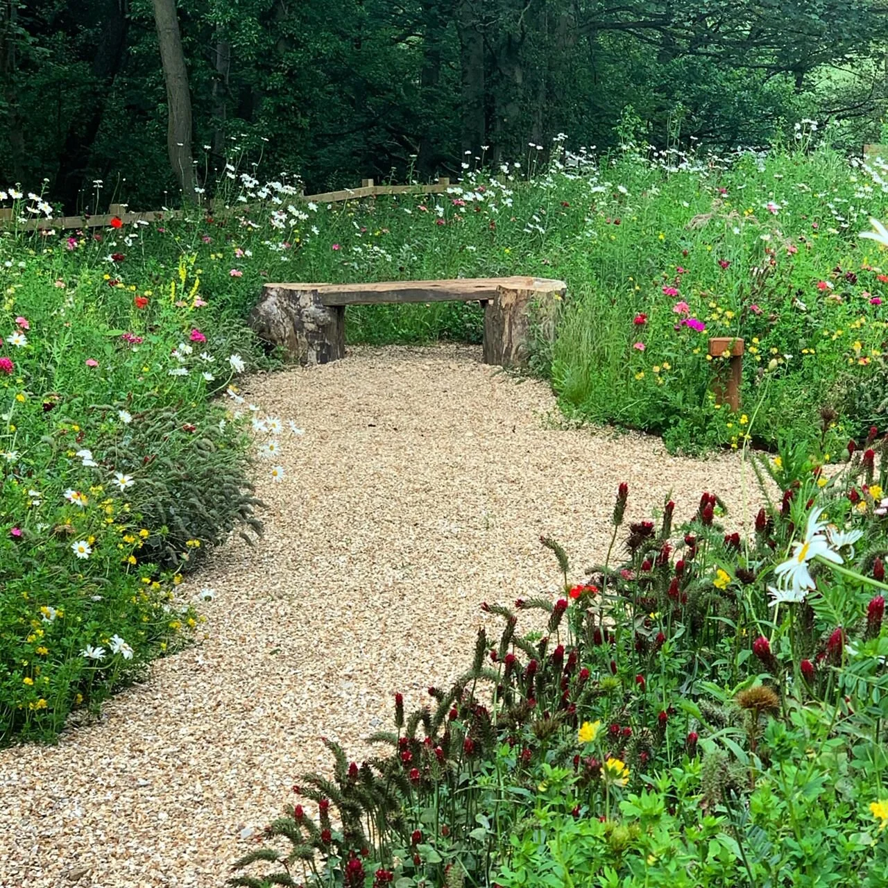 A wide view of Devour’s wildflower garden in Holmfirth,, filled with colourful native flowers in full bloom, creating a natural meadow beside a beautiful carved out path weaving its way to a log bench overlooking the restaurant’s riverside setting.