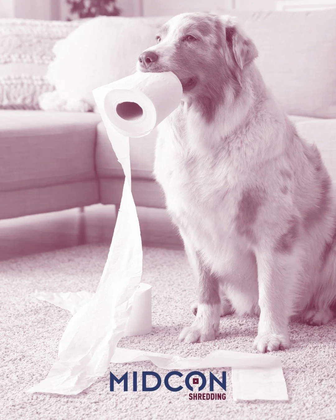 Shredded documents are baled and sent to mills to become new, everyday paper products! And what happens to them after that, well&hellip; that&rsquo;s not up to us.