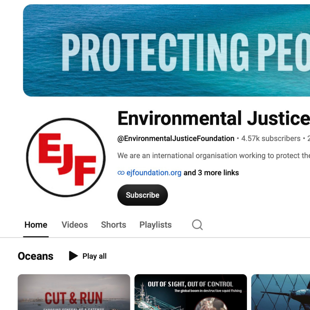 A screenshot of EJF's YouTube channel