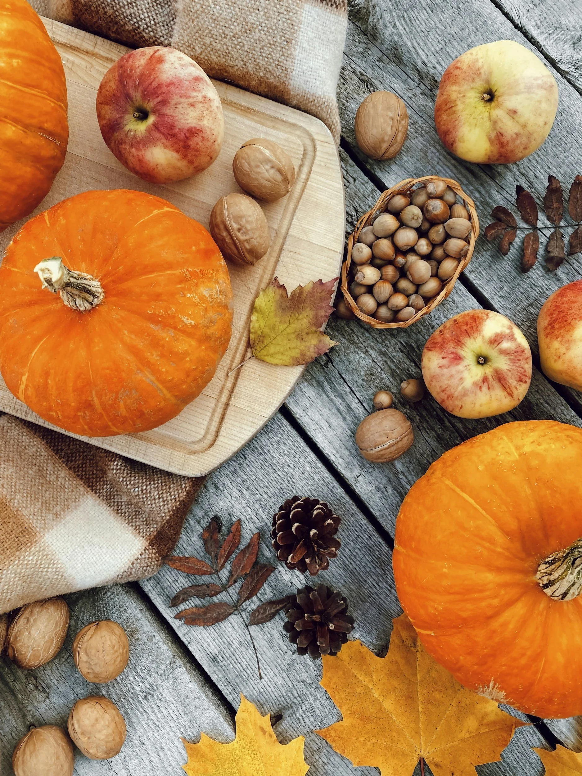 Copper Bowl Ranch Fall Festival