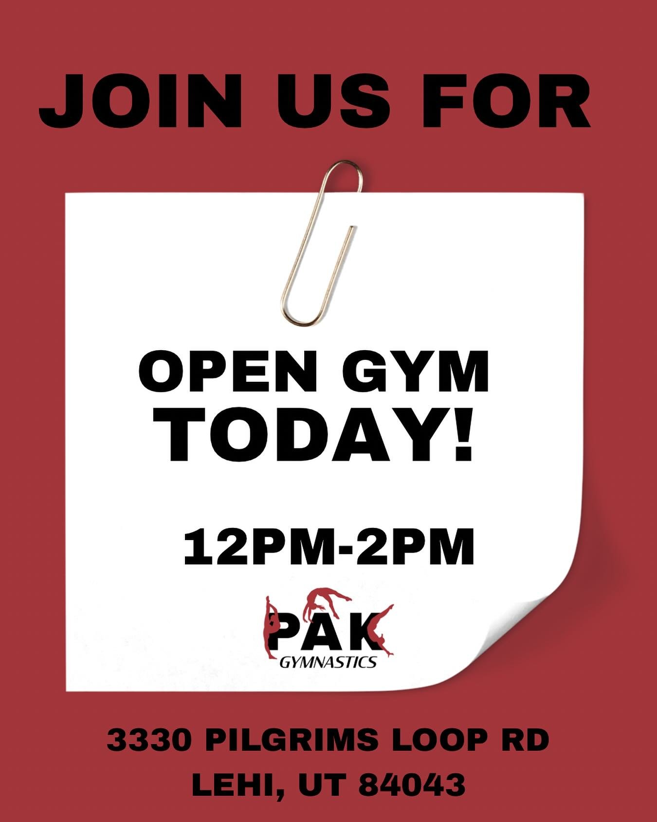 Take a cool break at PAK Gymnastics today for OPEN GYM! Free play fun for all ages 1-18! $16 per child. Come #JoinThePAK #PAKGymnastics #LehiUtah #FamilyFun #Gymnastics