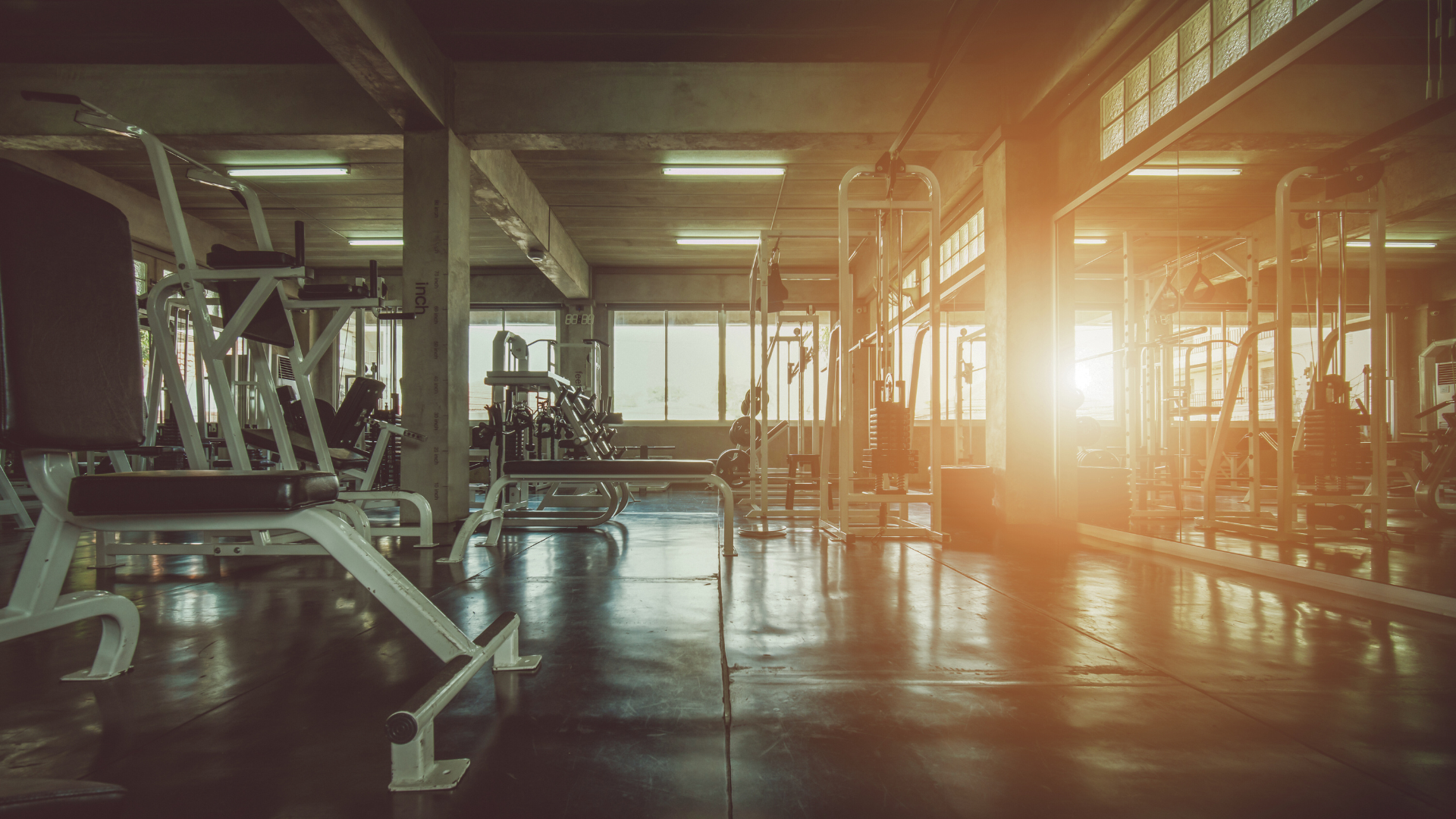 Willpower Is a Lie—Here’s What You Actually Need to Stay Disciplined