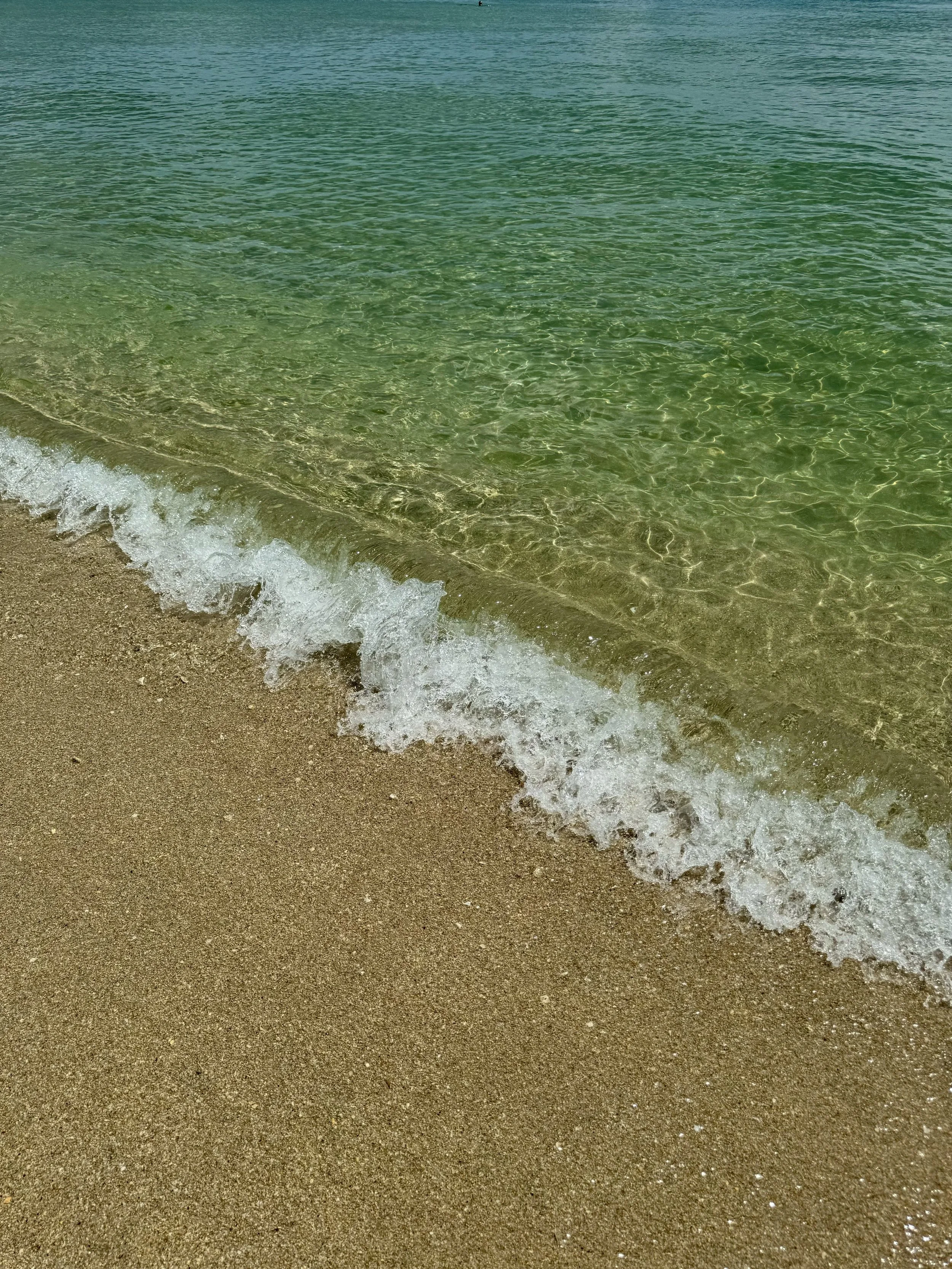 Gentle waves reaching a sandy beach with clear green water.