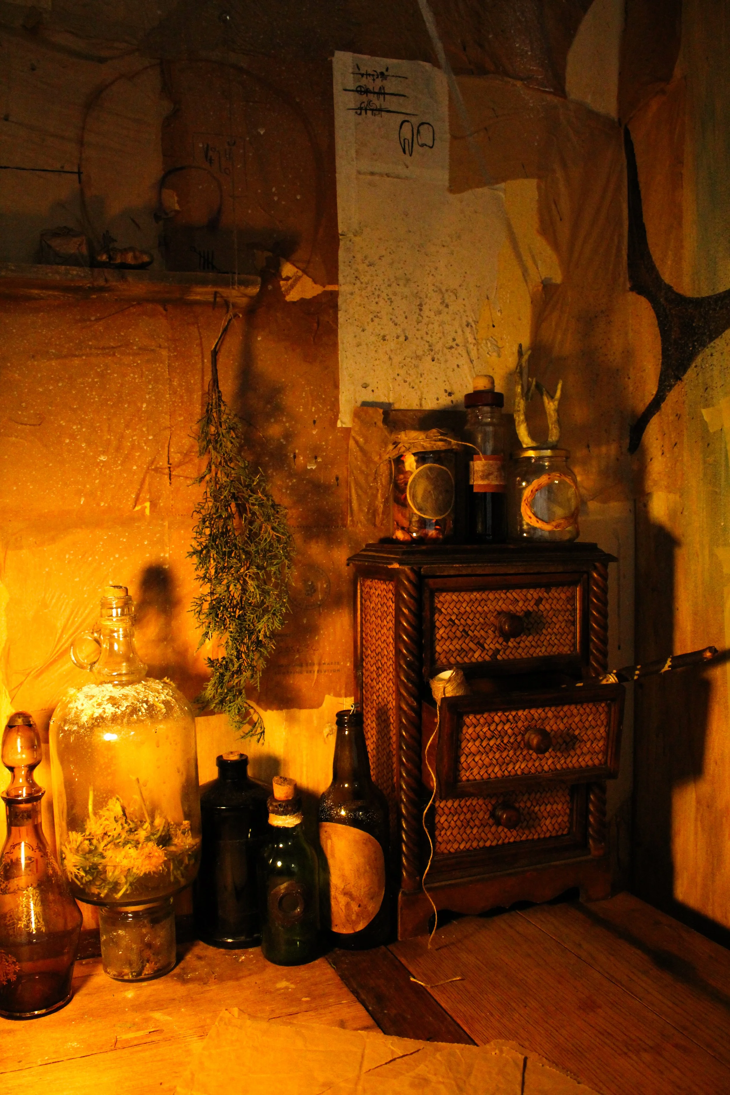 edited final shoot-45.jpg