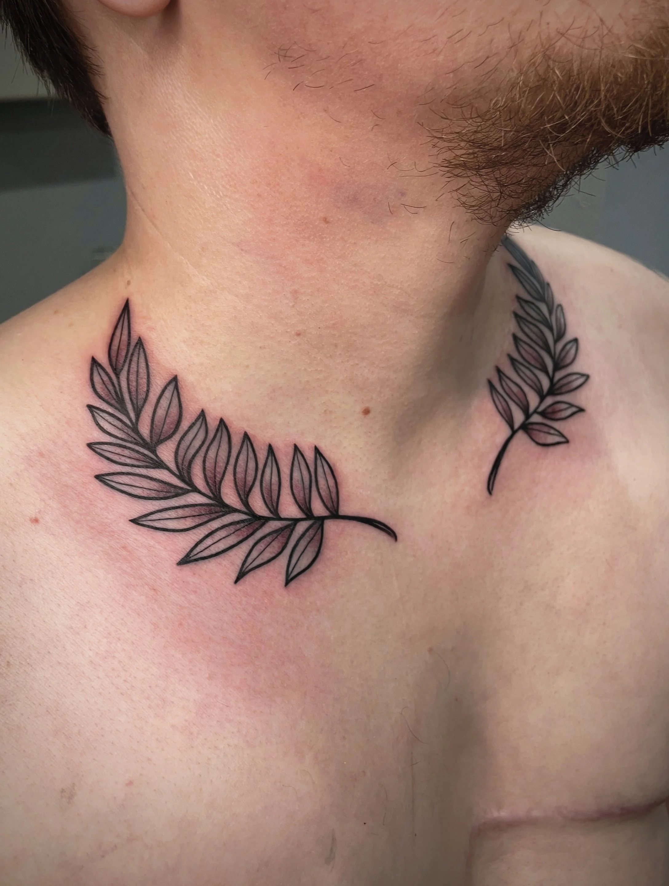 Untitled_Artwork 9.jpeg