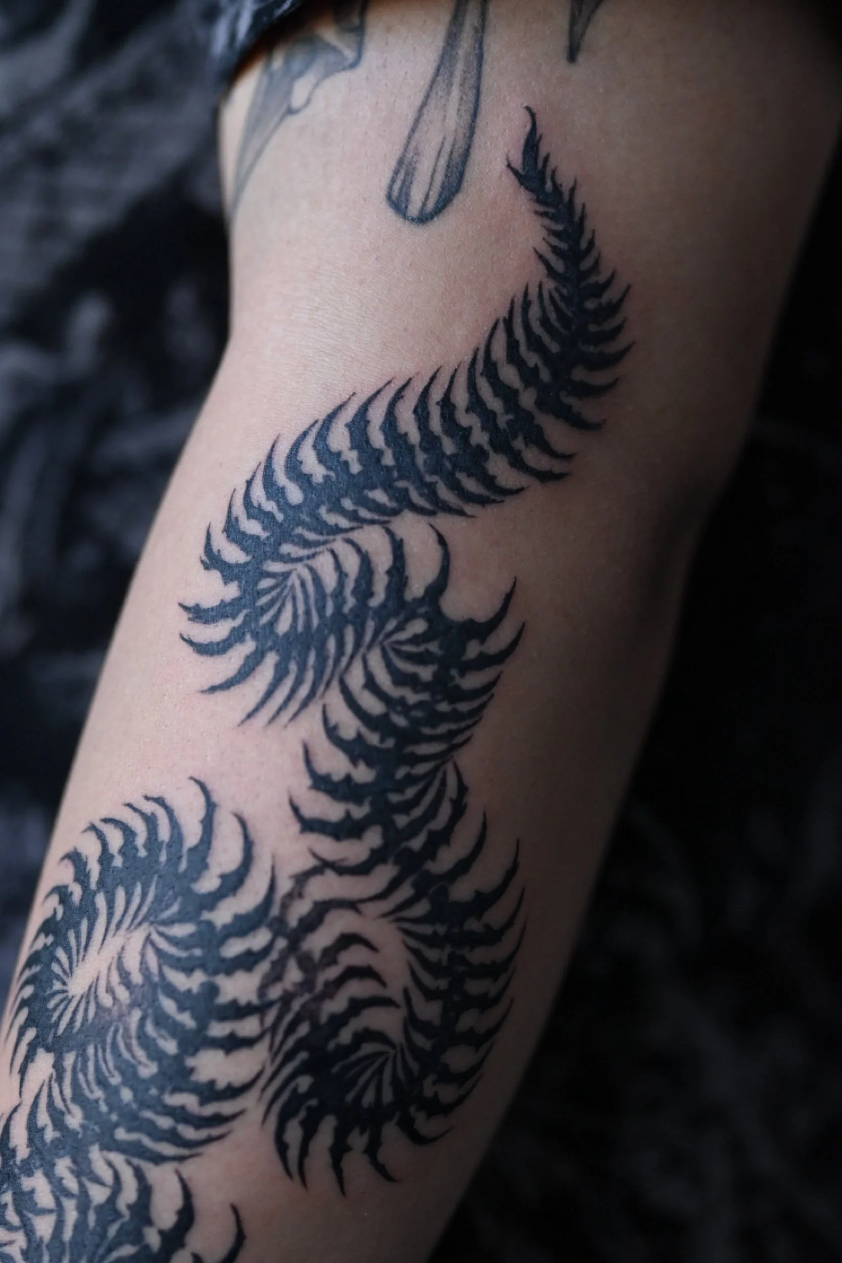 tattoo_04(2).jpg