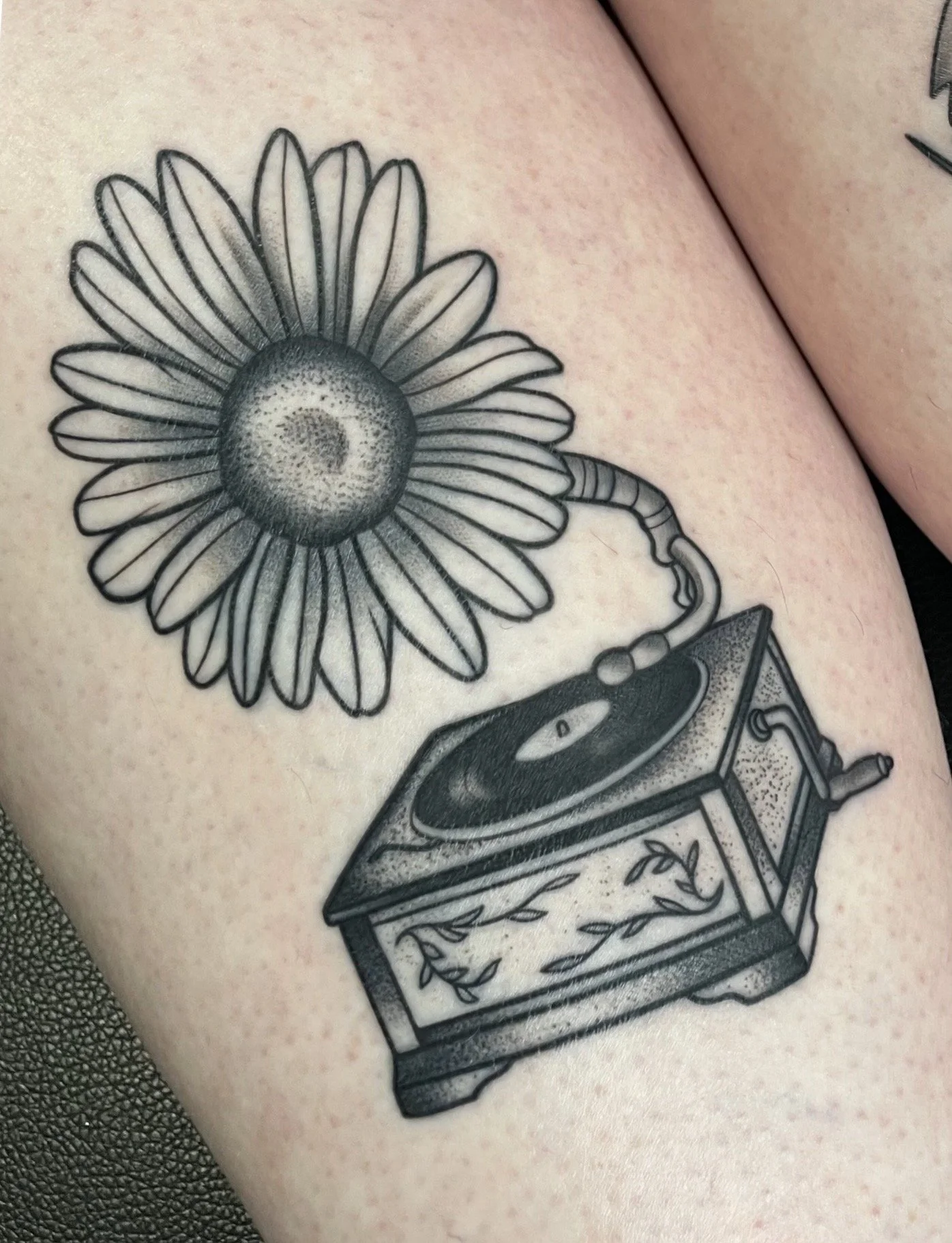 Untitled_Artwork 4.jpeg