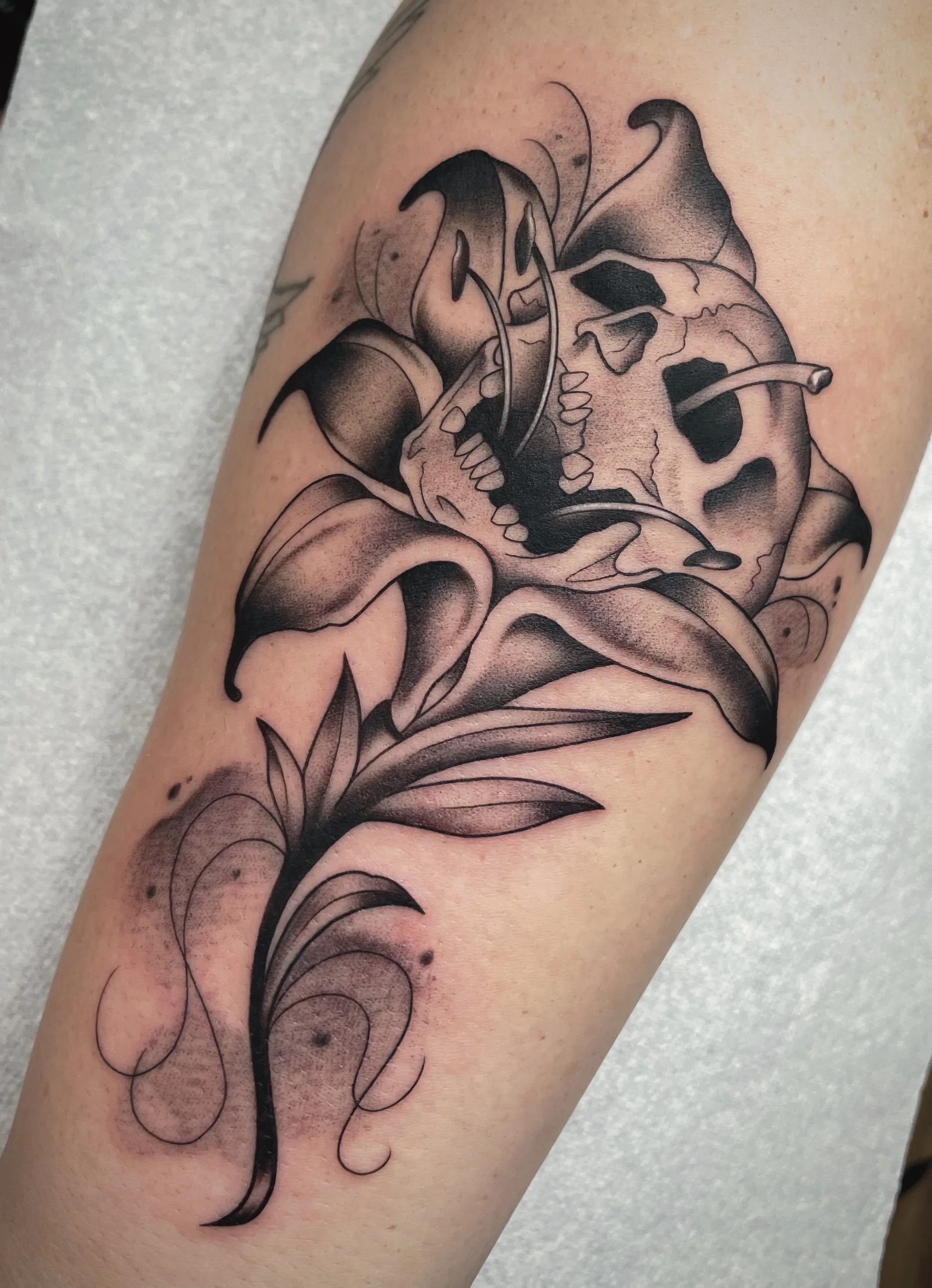 Untitled_Artwork 6.jpeg