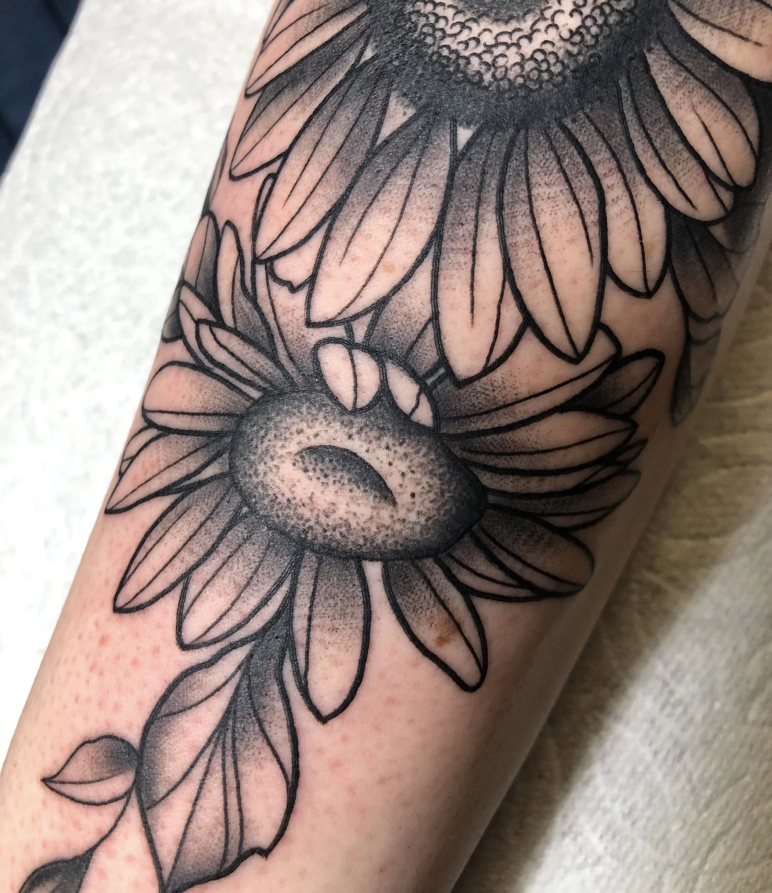 Untitled_Artwork 2.jpeg