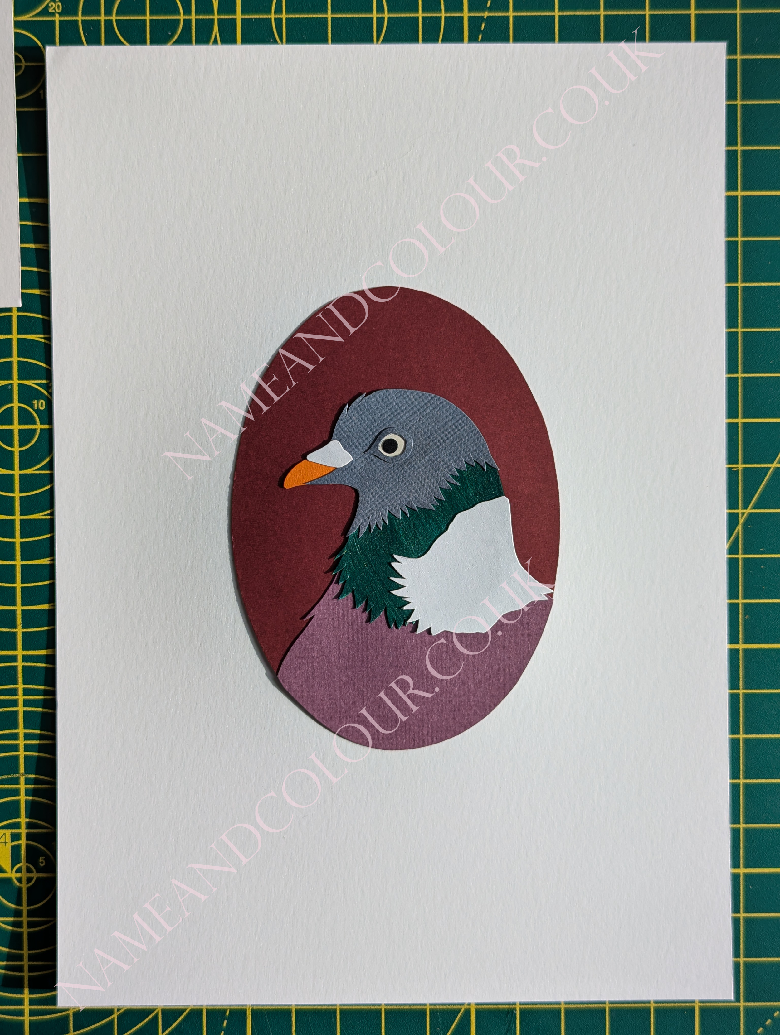 woodpigeon waermarked.png