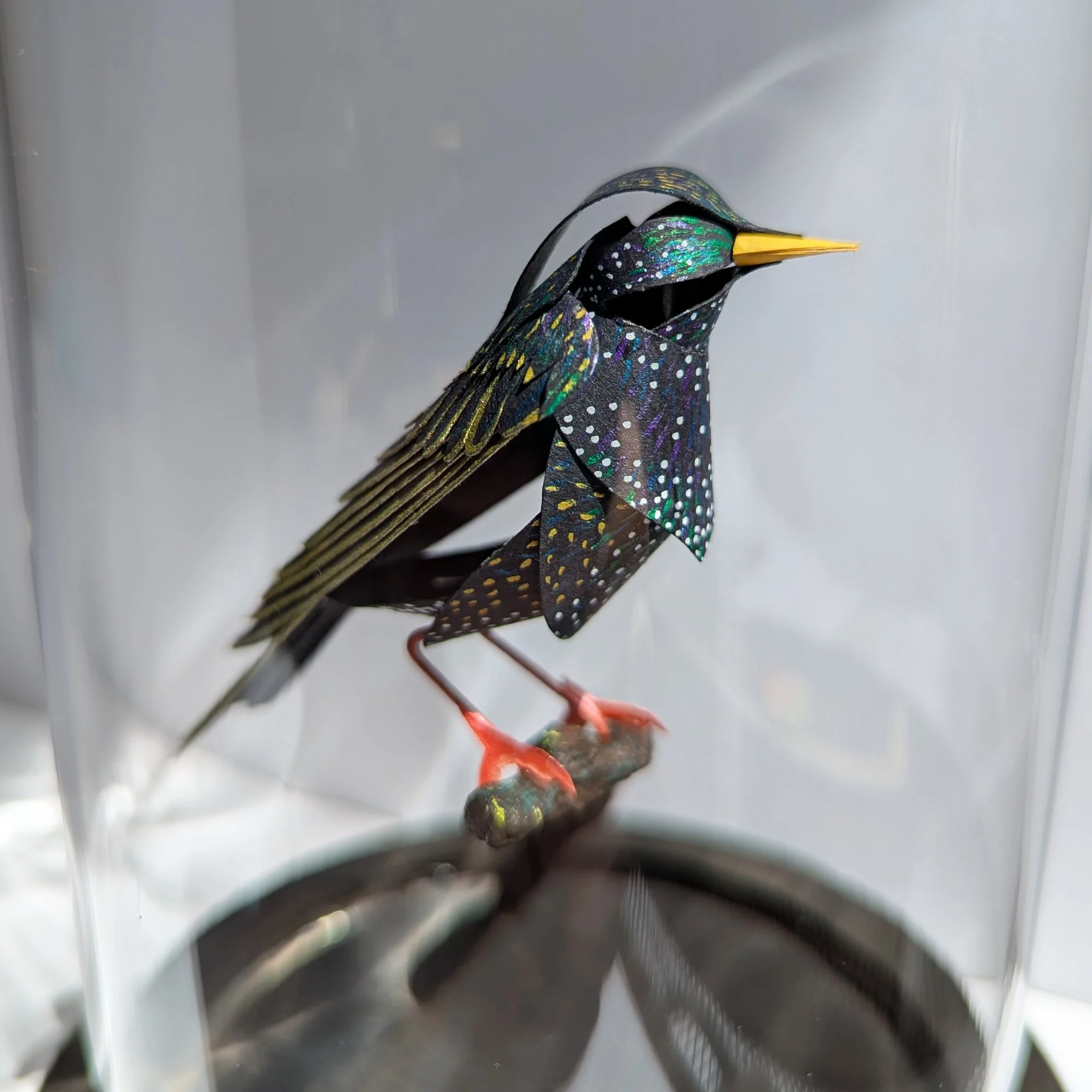 Brilliance Of Birds