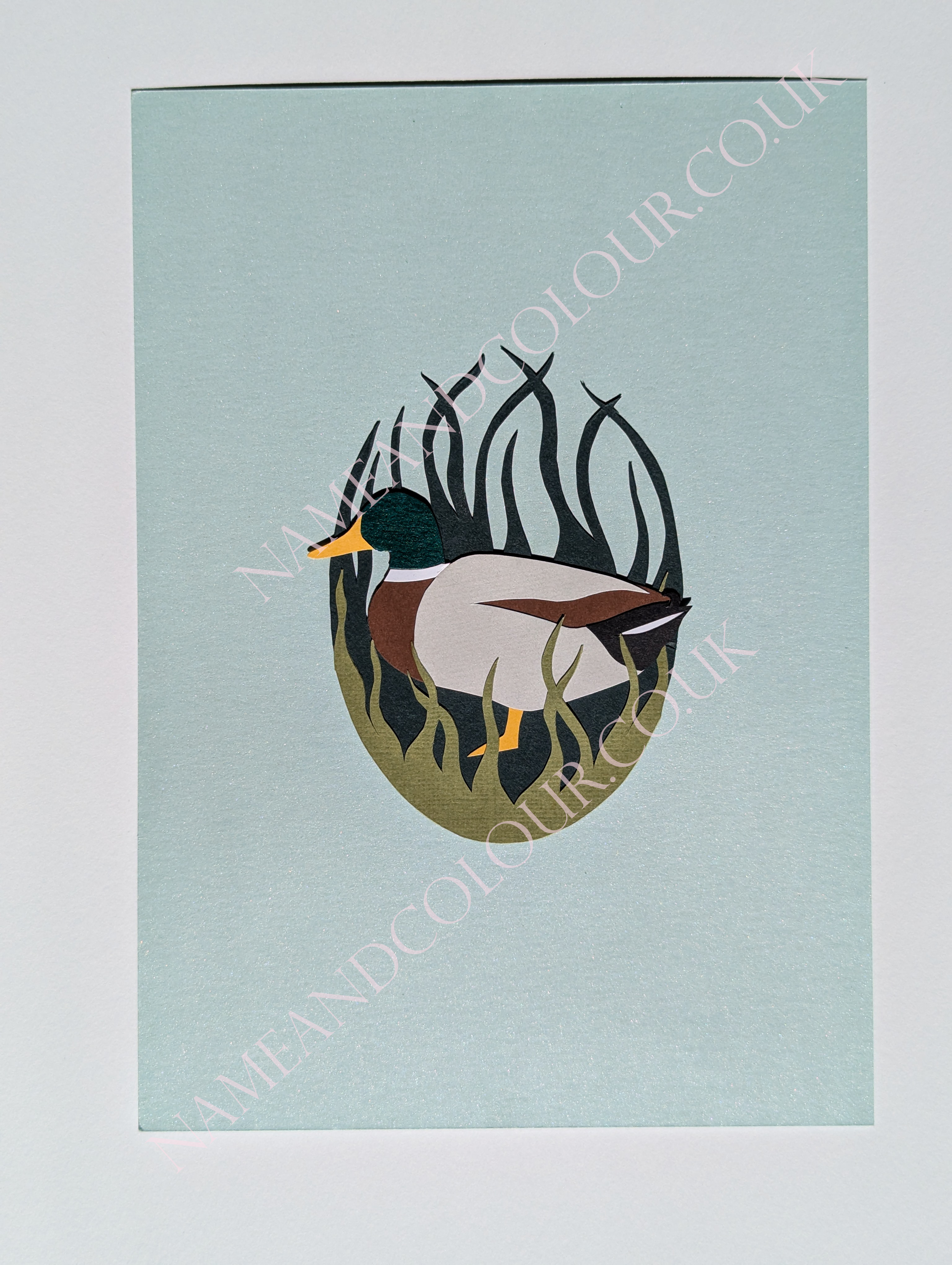 duck watermarked.png